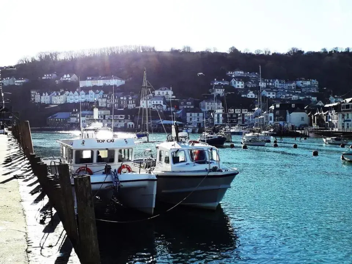 Bosons Bunks 2 adults, EV point