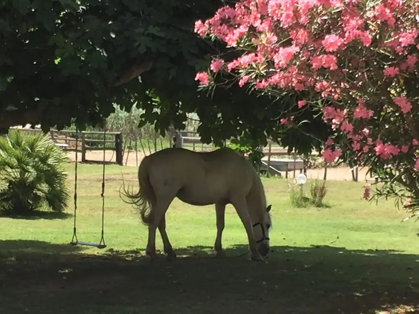 Hôtel Mas des Barres