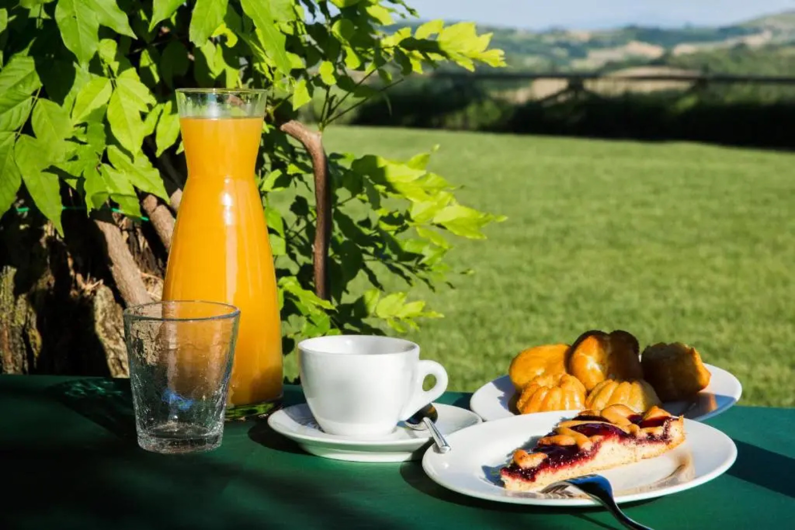 Fattoria Di Monticello