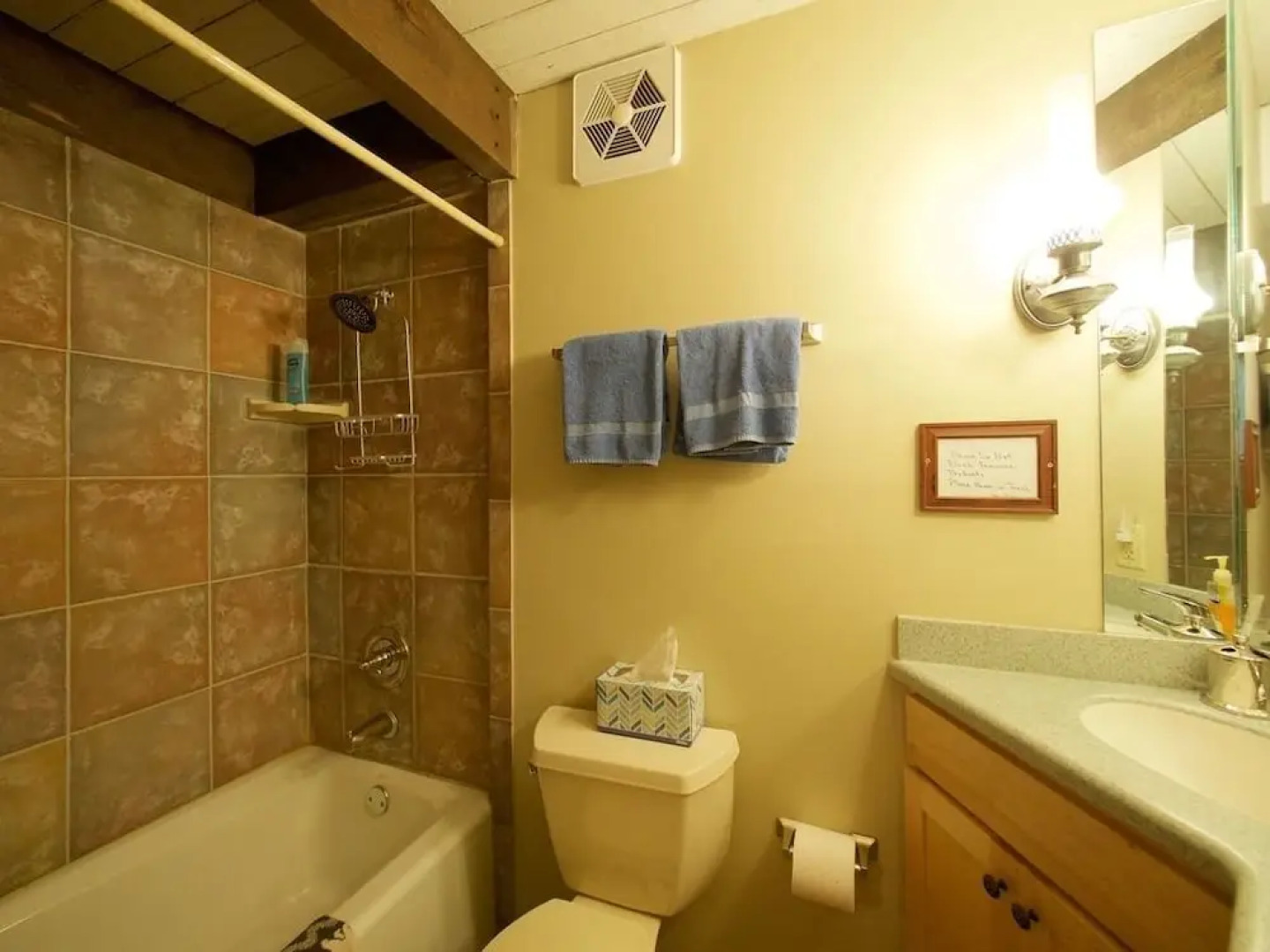 Cliffside House - 3 Bedroom Near Mt Princeton Hot Springs Home