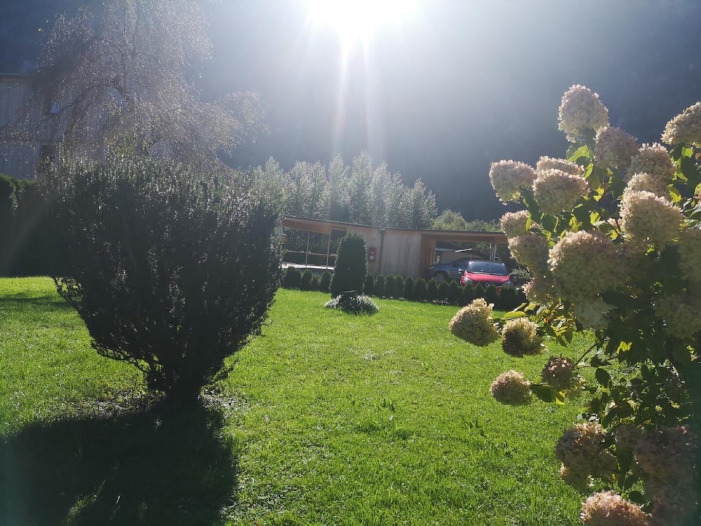 Rosy's House Privat Pension