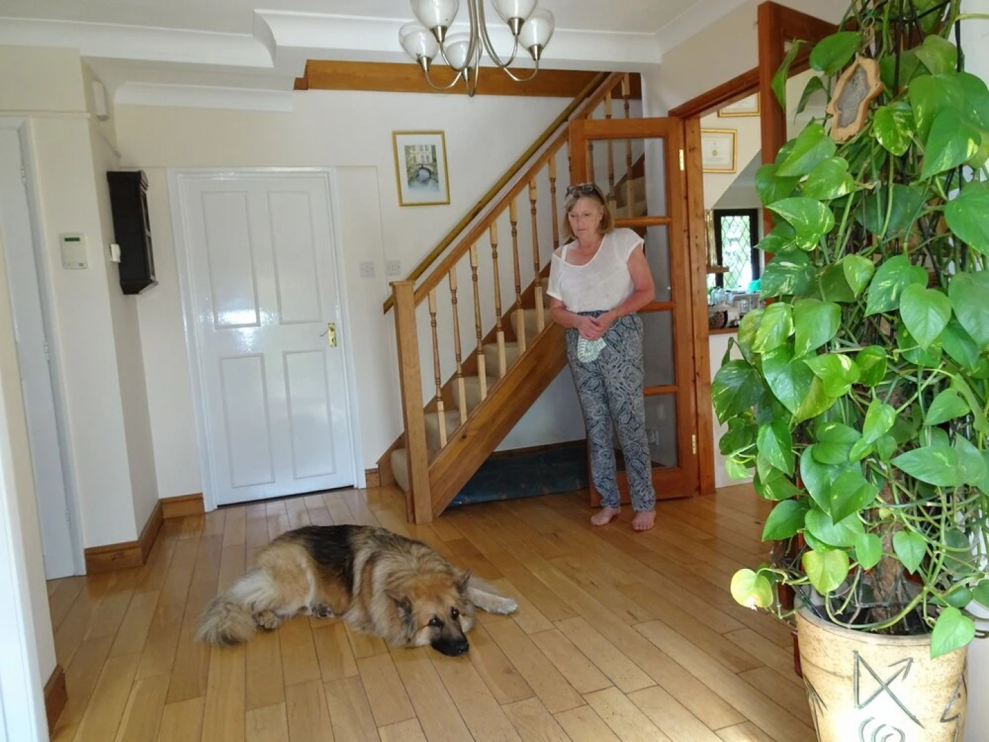 Drinkstone Park Bed And Breakfast