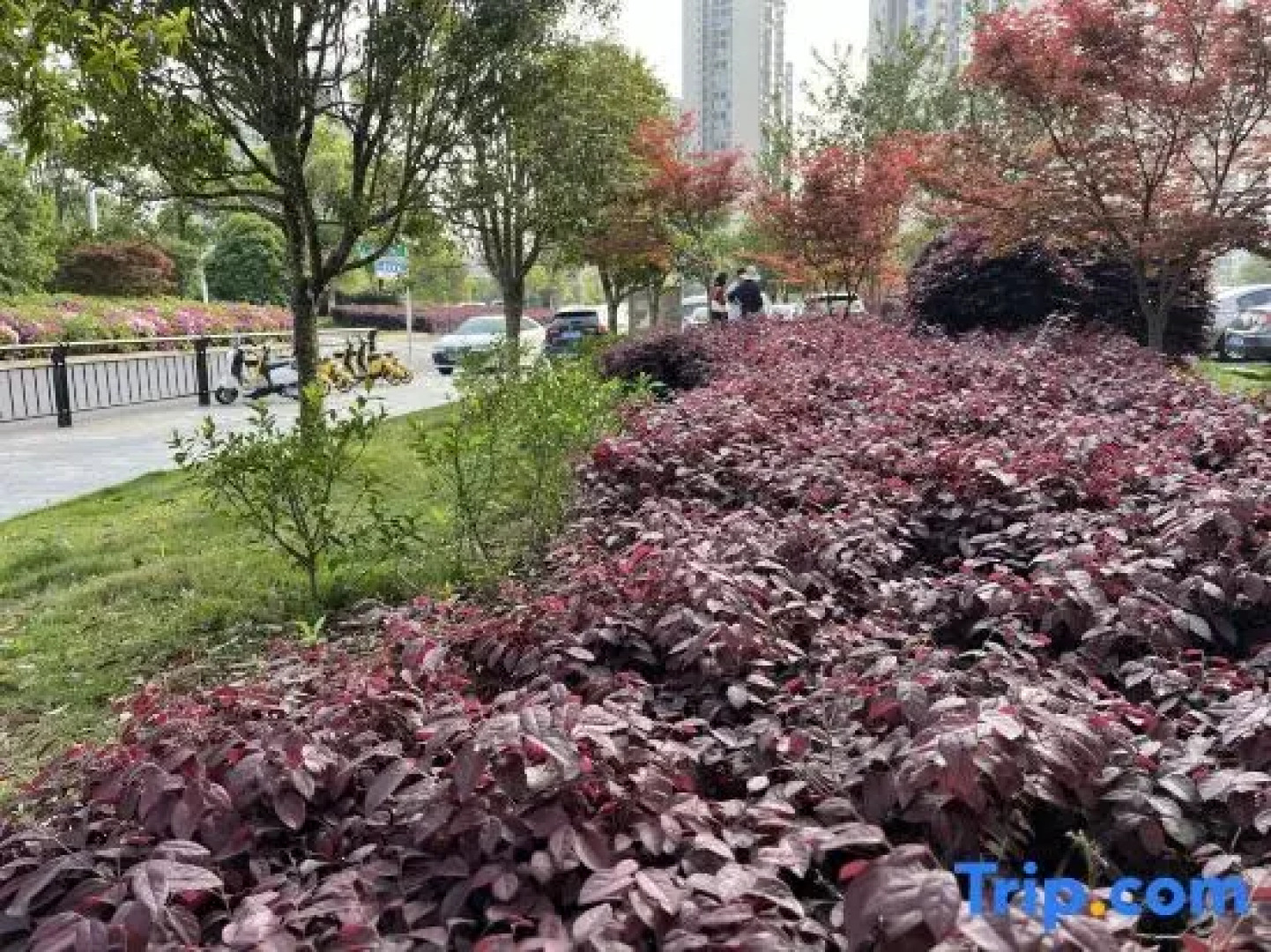 Yipin International Hotel (County Government Affairs Center)