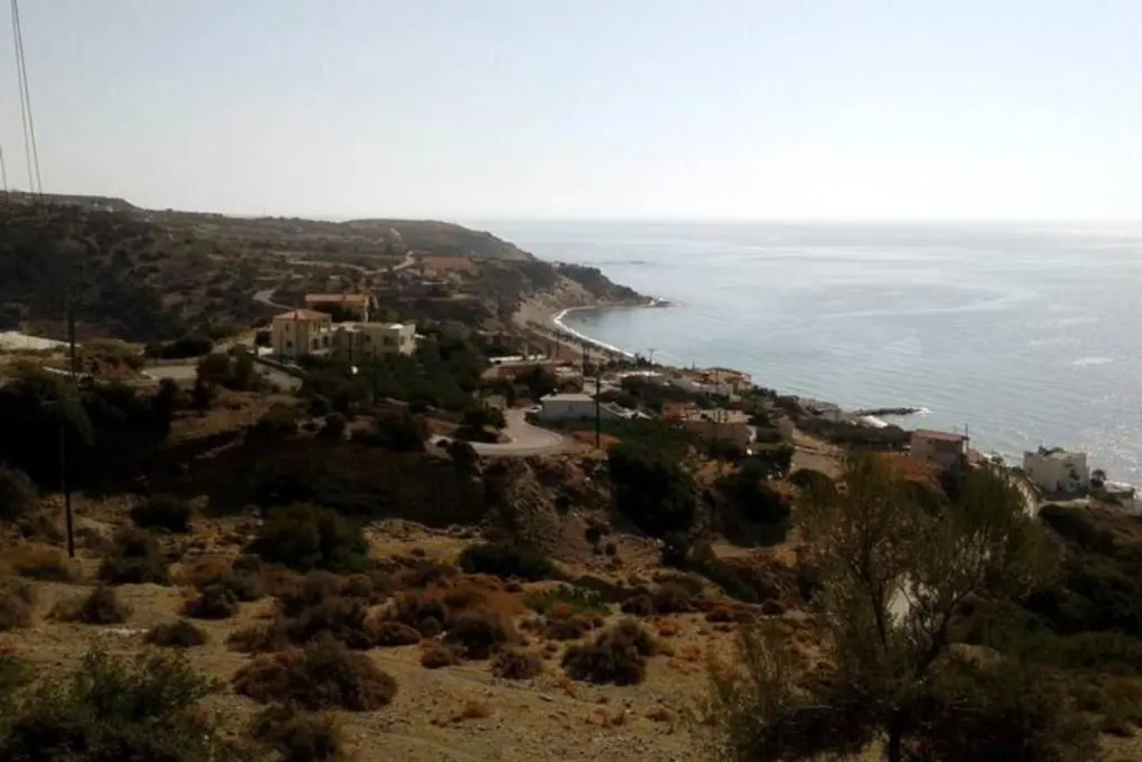 Antonis's Palm House