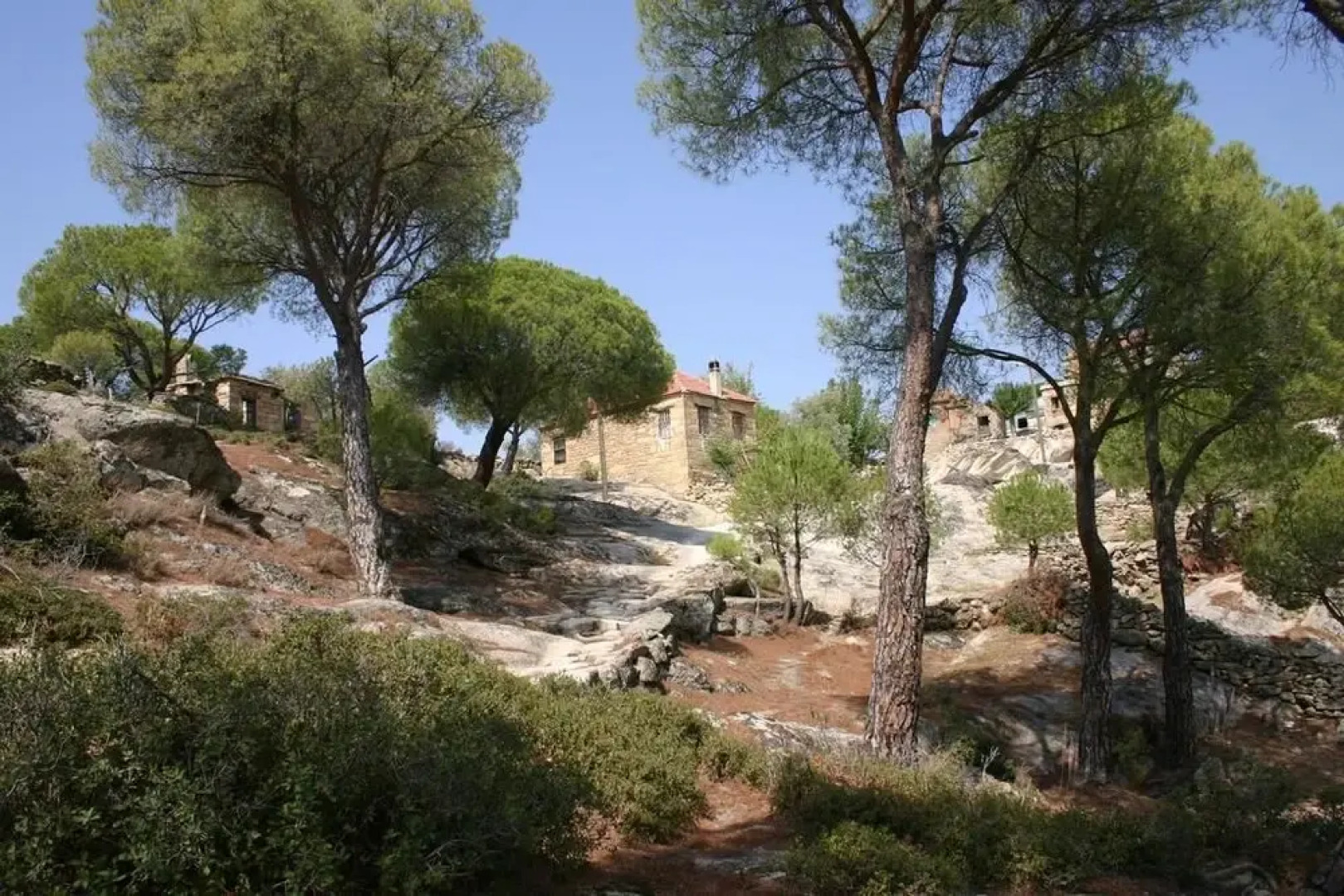 Silva Oliva Hotel & Farm