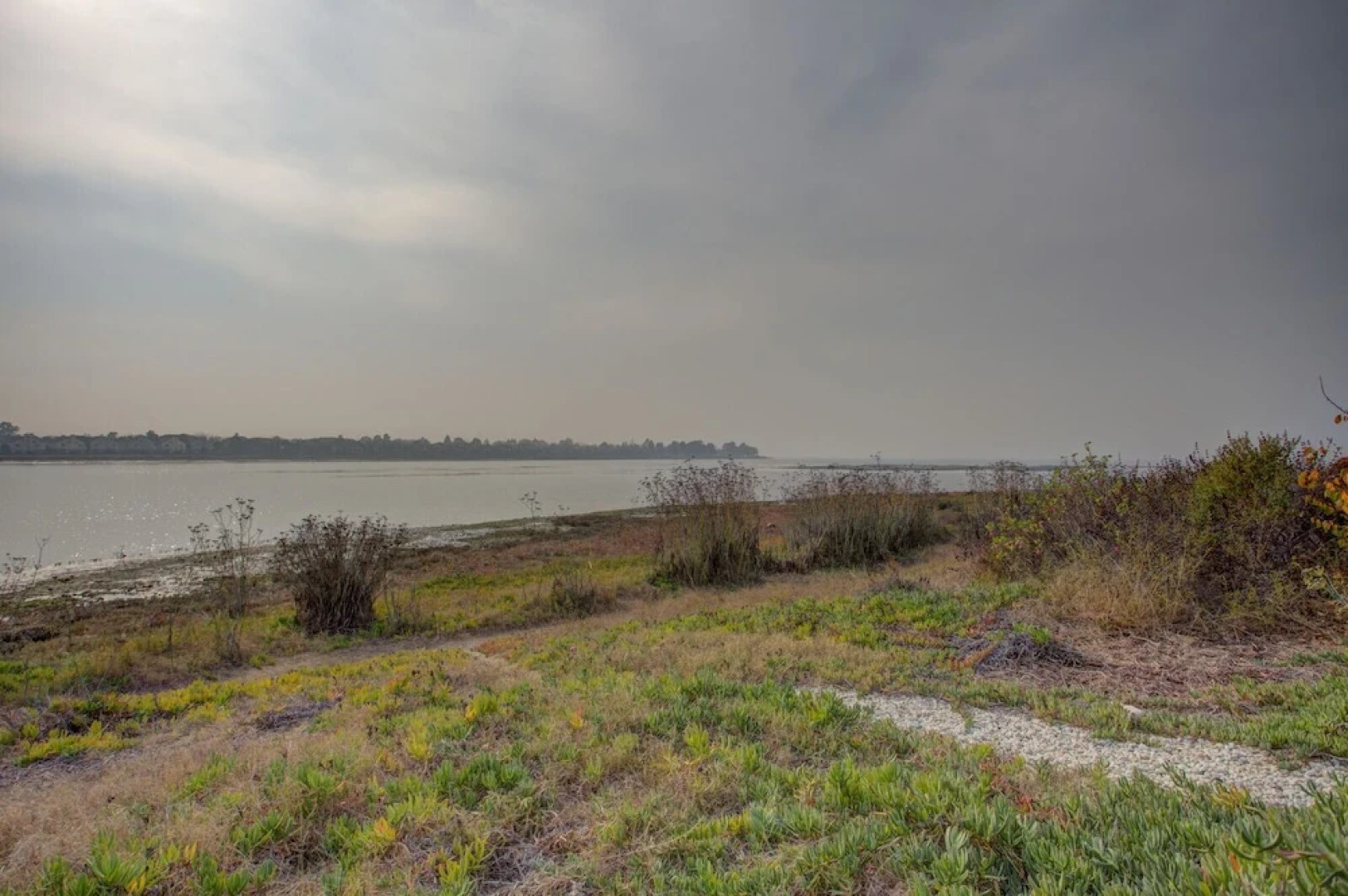 Bird Paradise: Serene Bayview Home in East Alameda 2 Bedrooms 2 Bathro