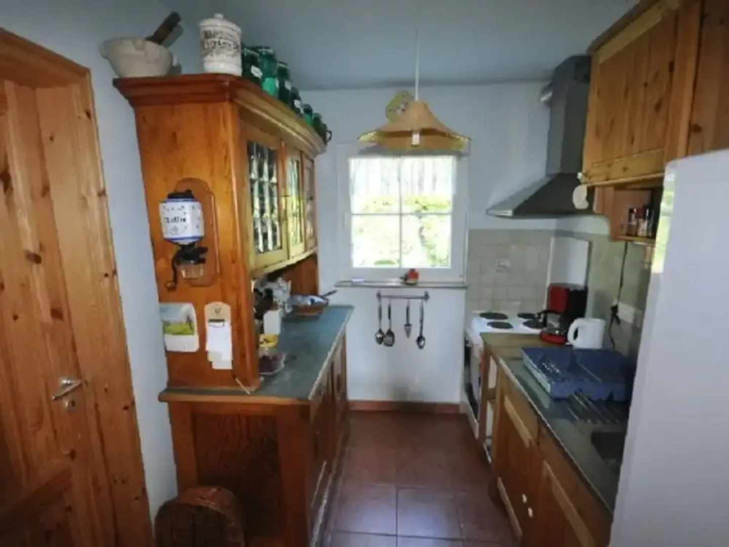 Red-throated Diver Modern Retreat