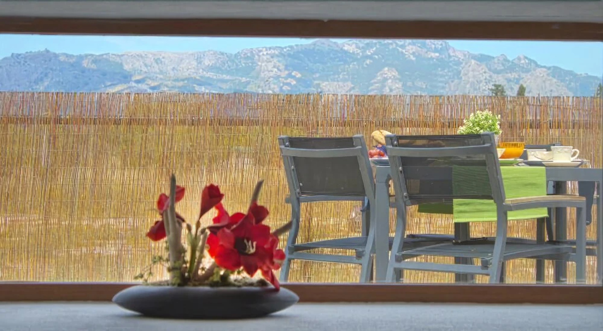 S'Estudi - Son Nebot