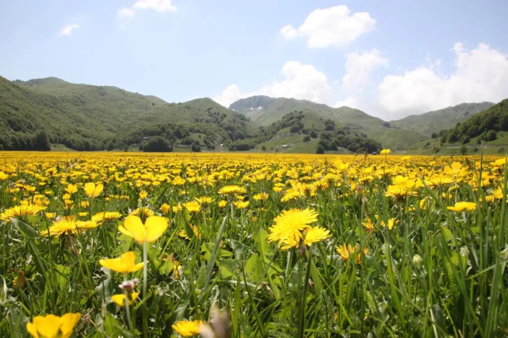 Club Hotel Lo Sciatore