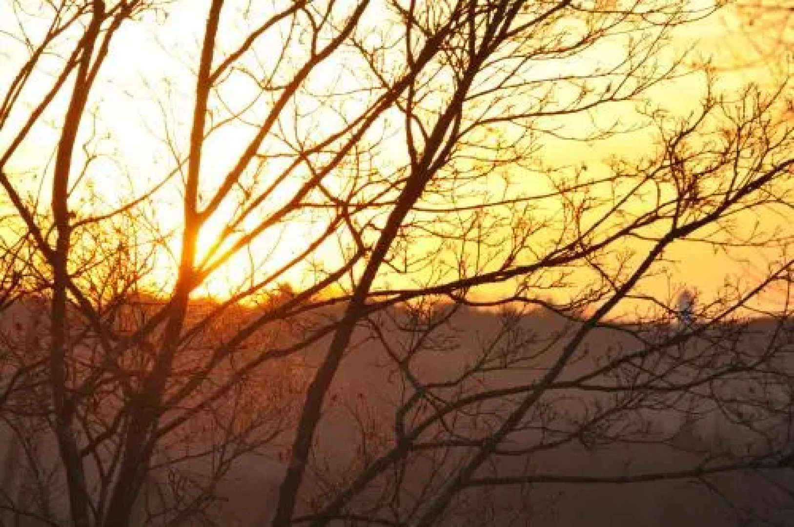 Berghaus Knopfmacher