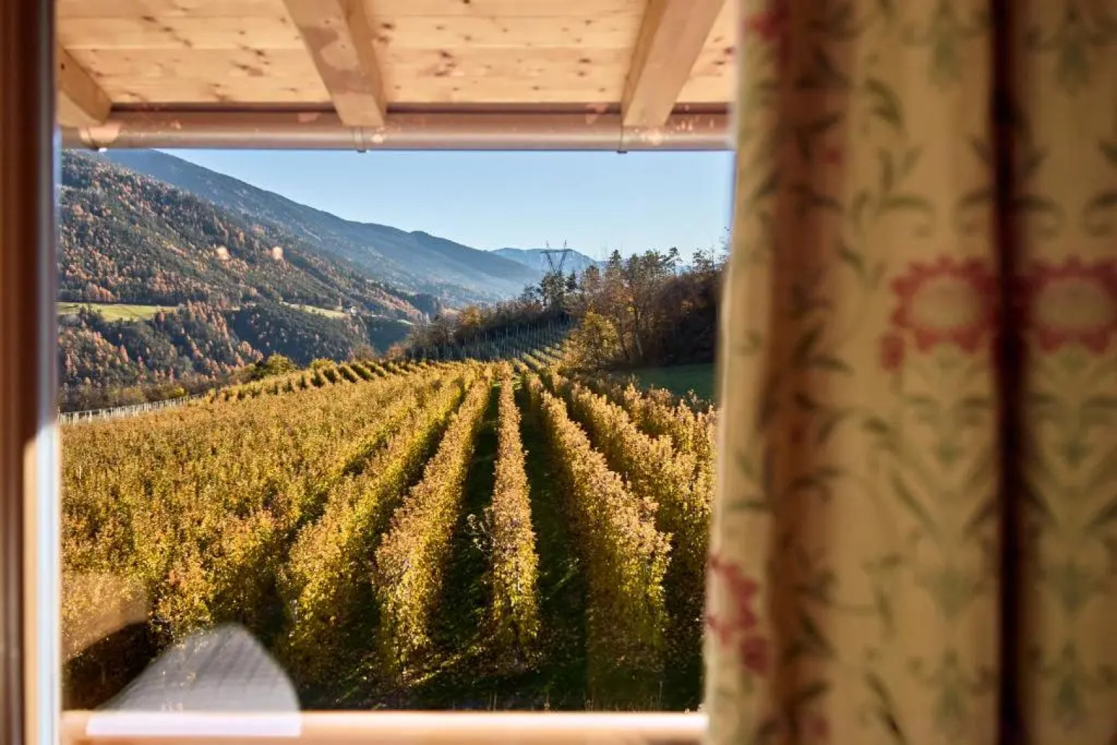 Residence Schiestlhof