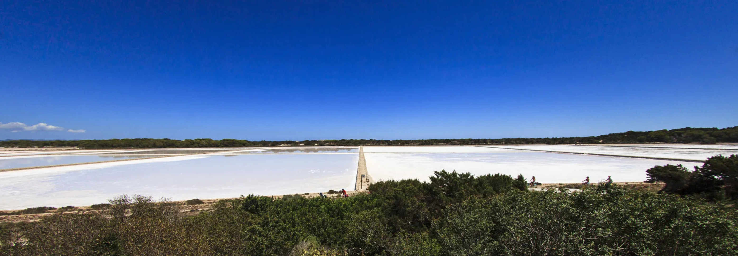 Sa Revista- Formentera Mar