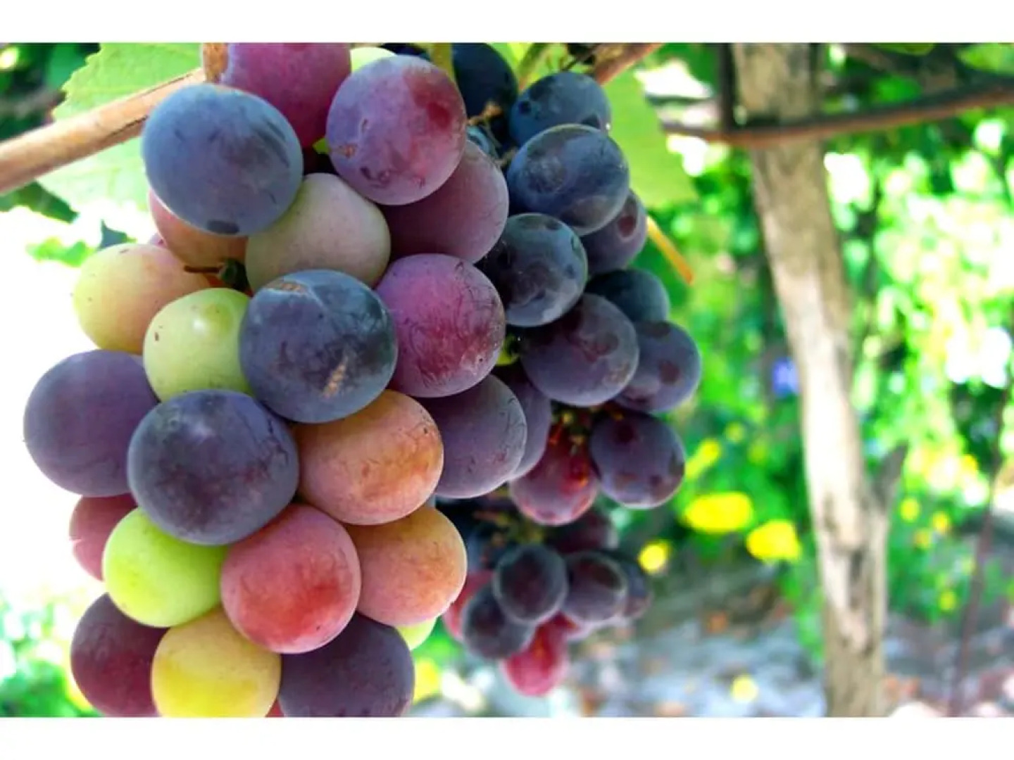 Spacious Mansion in Basque Country With Swimming Pool