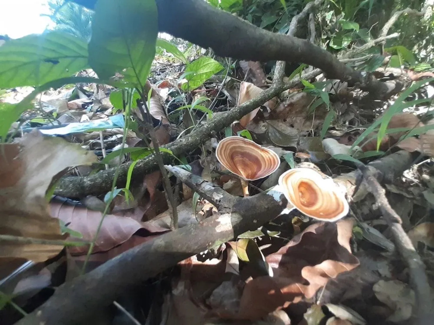 Huaito Mountain View Resort