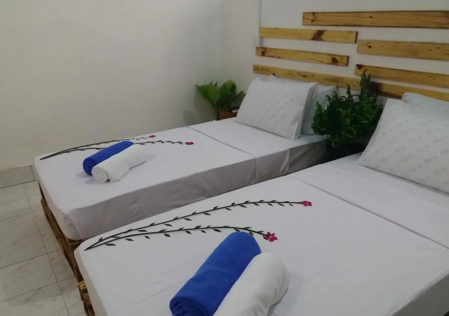 Гостевой дом Veli Thoddoo