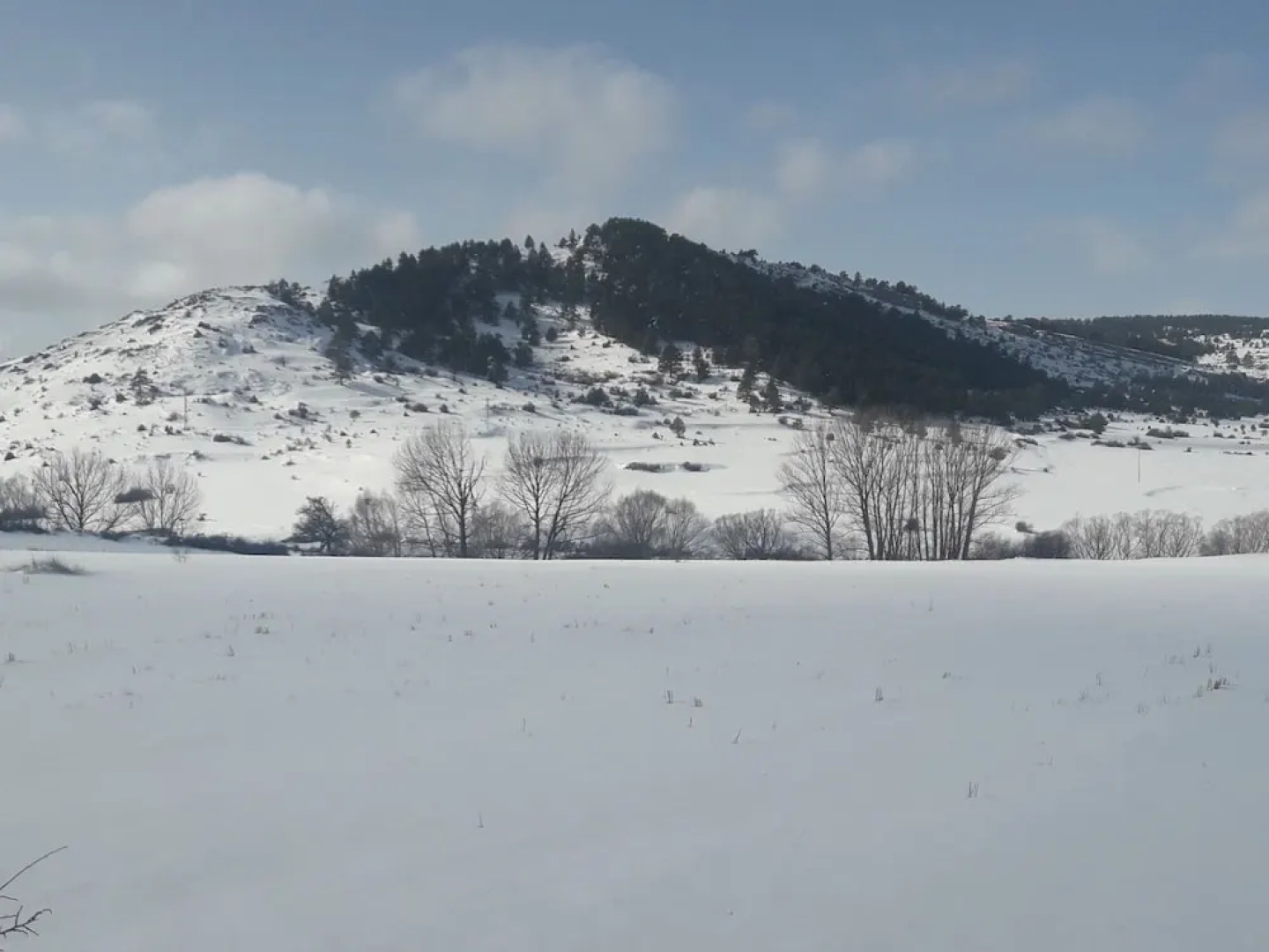 Apartamentos Turísticos Los Tejos