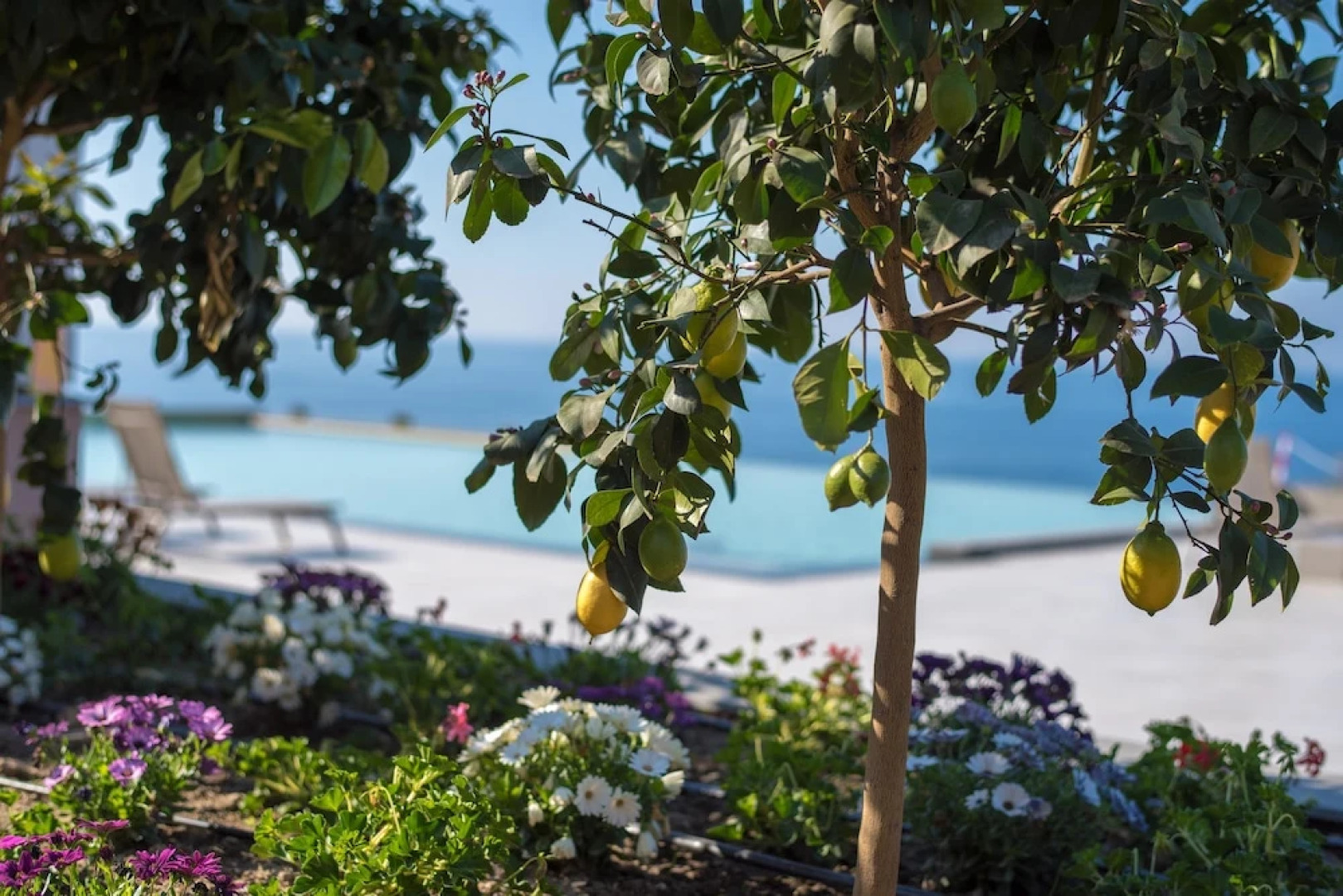 Best Western Plus Hotel Terre Di Eolo