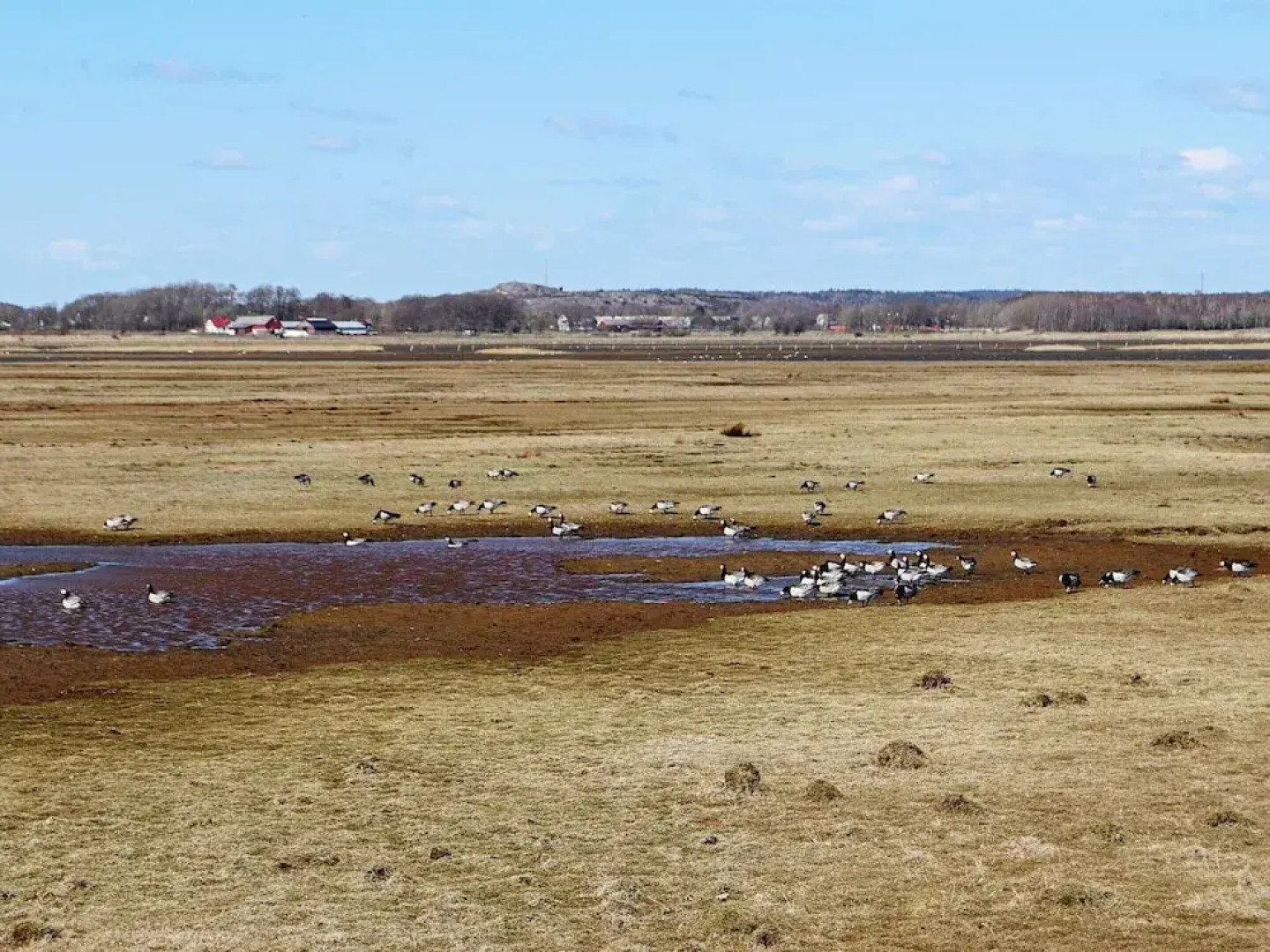 2 Person Holiday Home in Varberg-by Traum