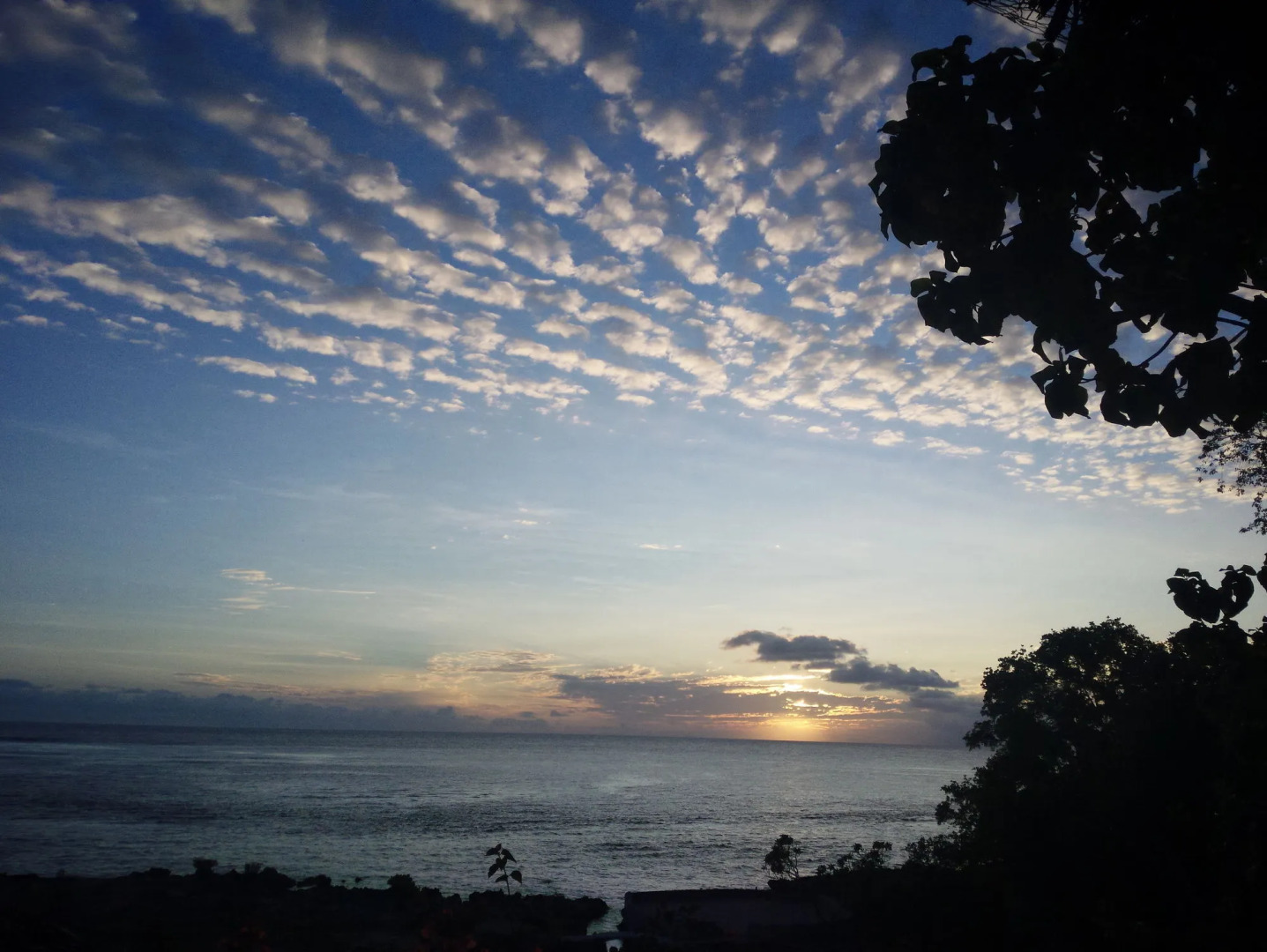 Tanna Evergreen Resort & Tours