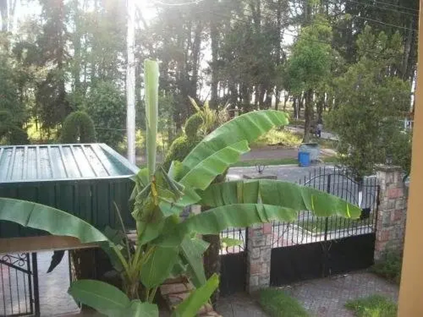 Magnolia Hotel Agmashenebeli