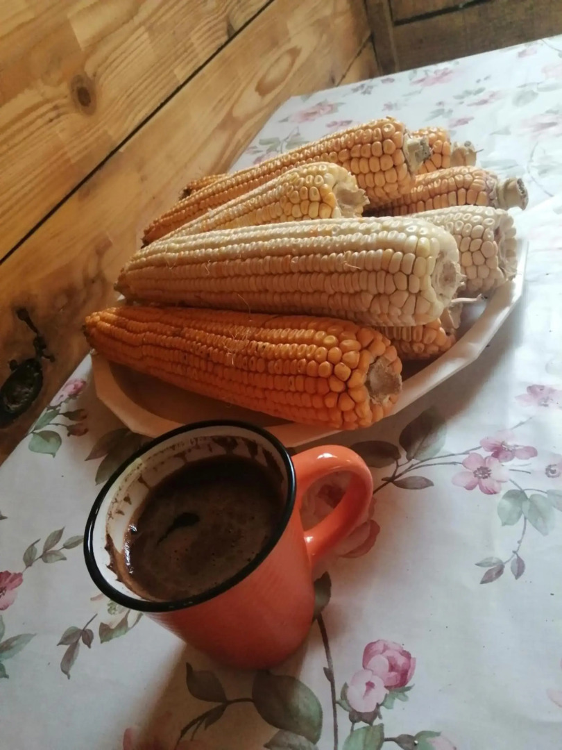 Apartmani Radivojevic