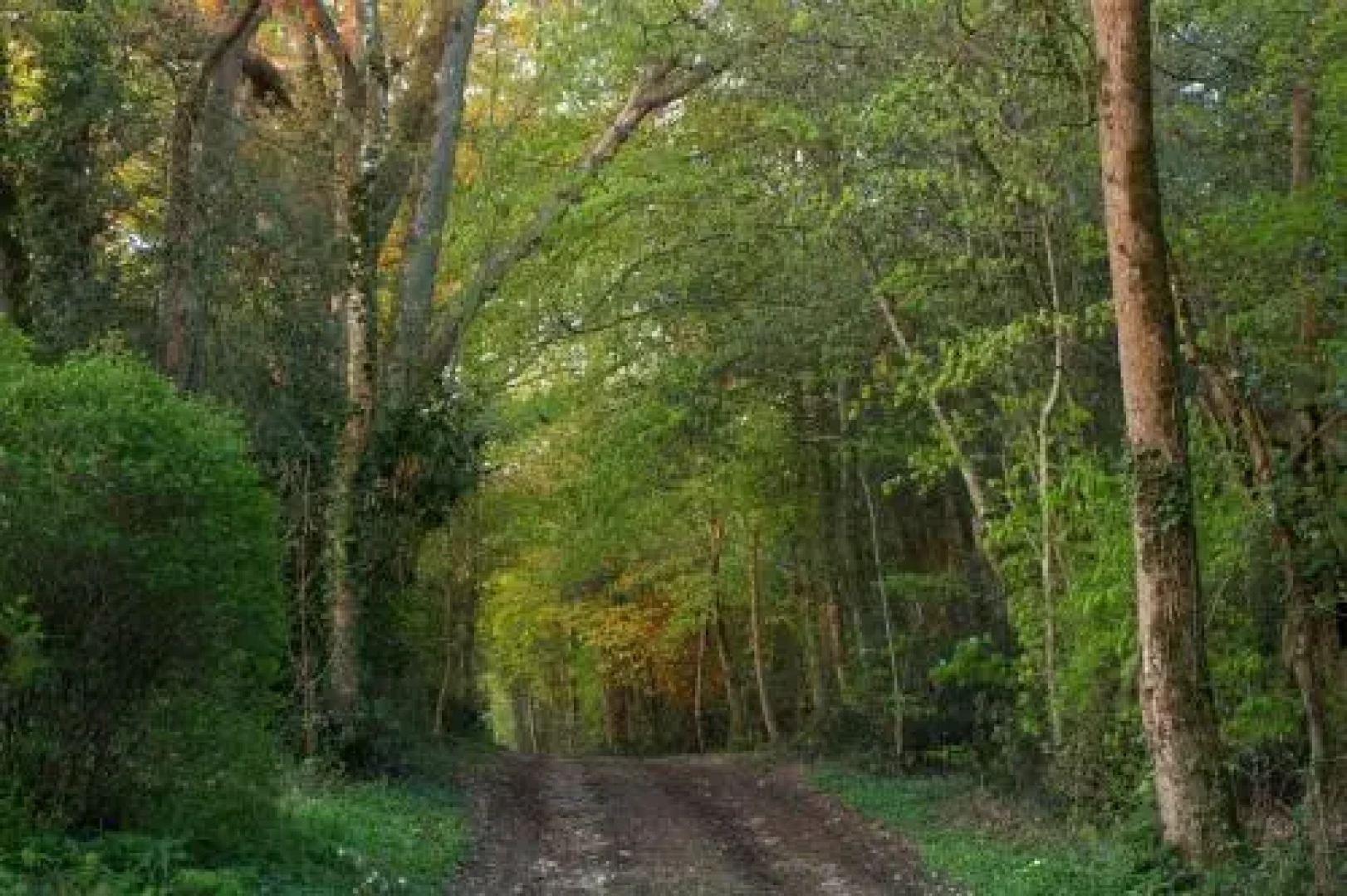 Proche Puy du Fou - Roches Blanches
