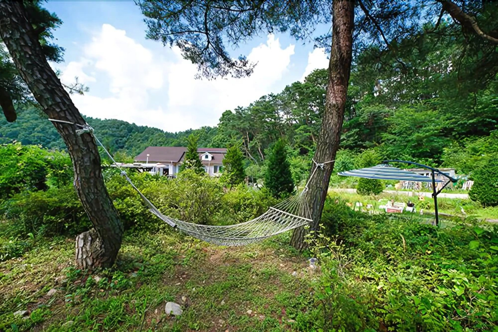 Yangpyeong Dandelion Pension