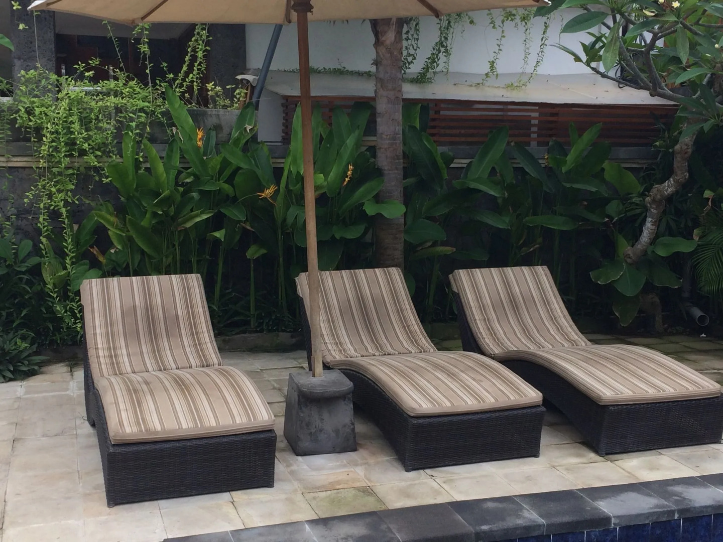 Dcamel Hotels Lembongan