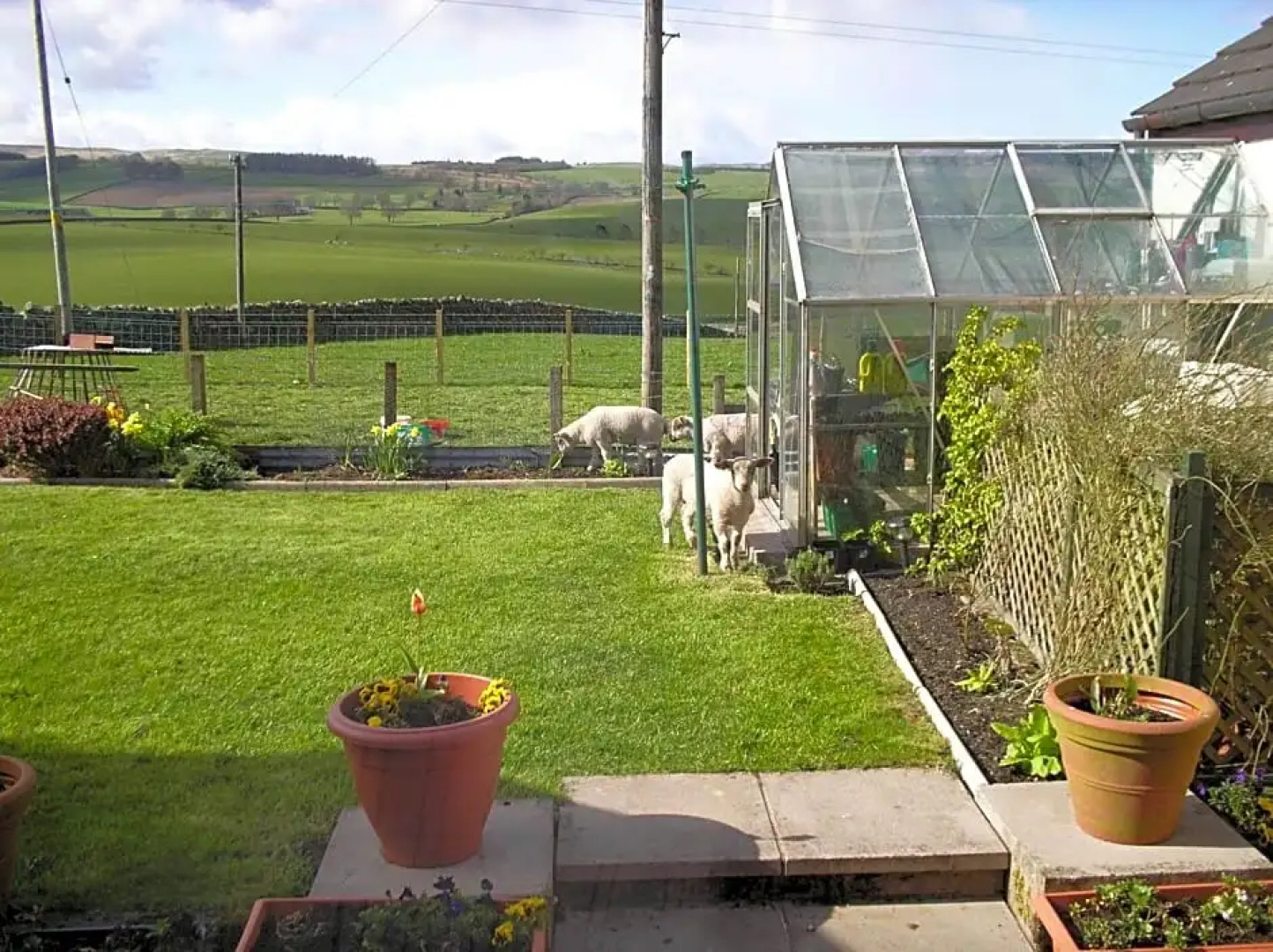 East Brae Cottage BB