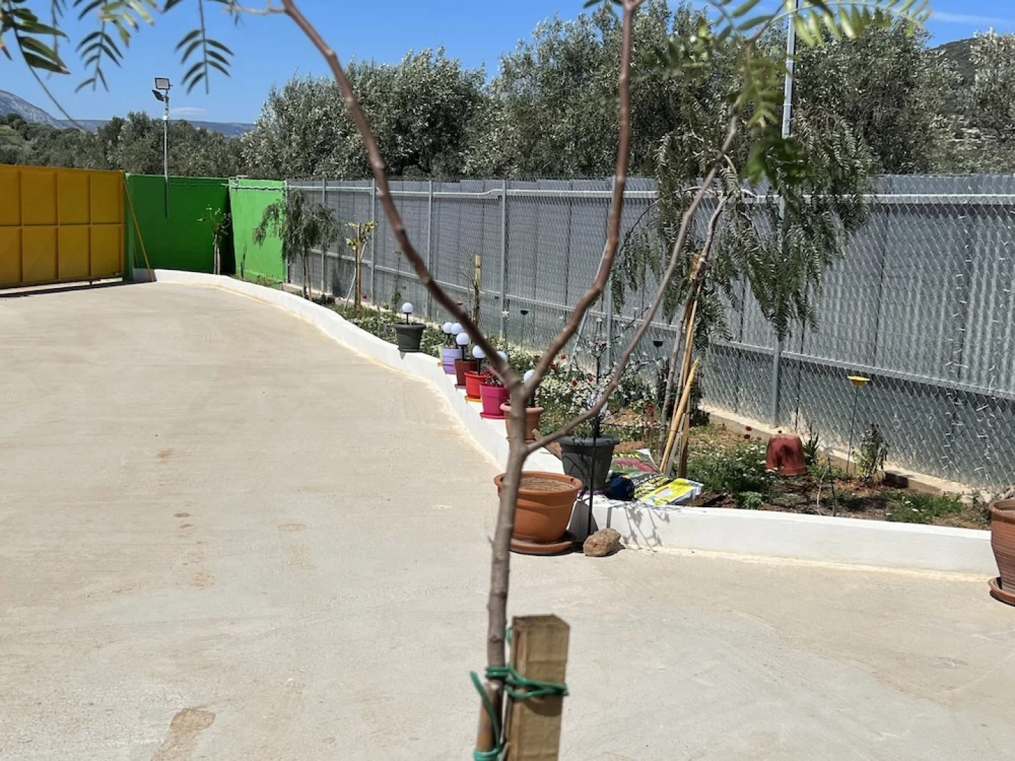 Ecological Studio Flat in Kalyvia Thorikou, Greece