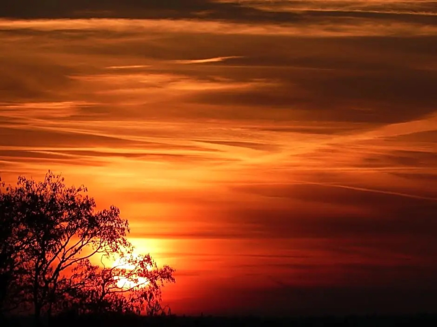 Bed & Breakfast Mühle Himmelpfort