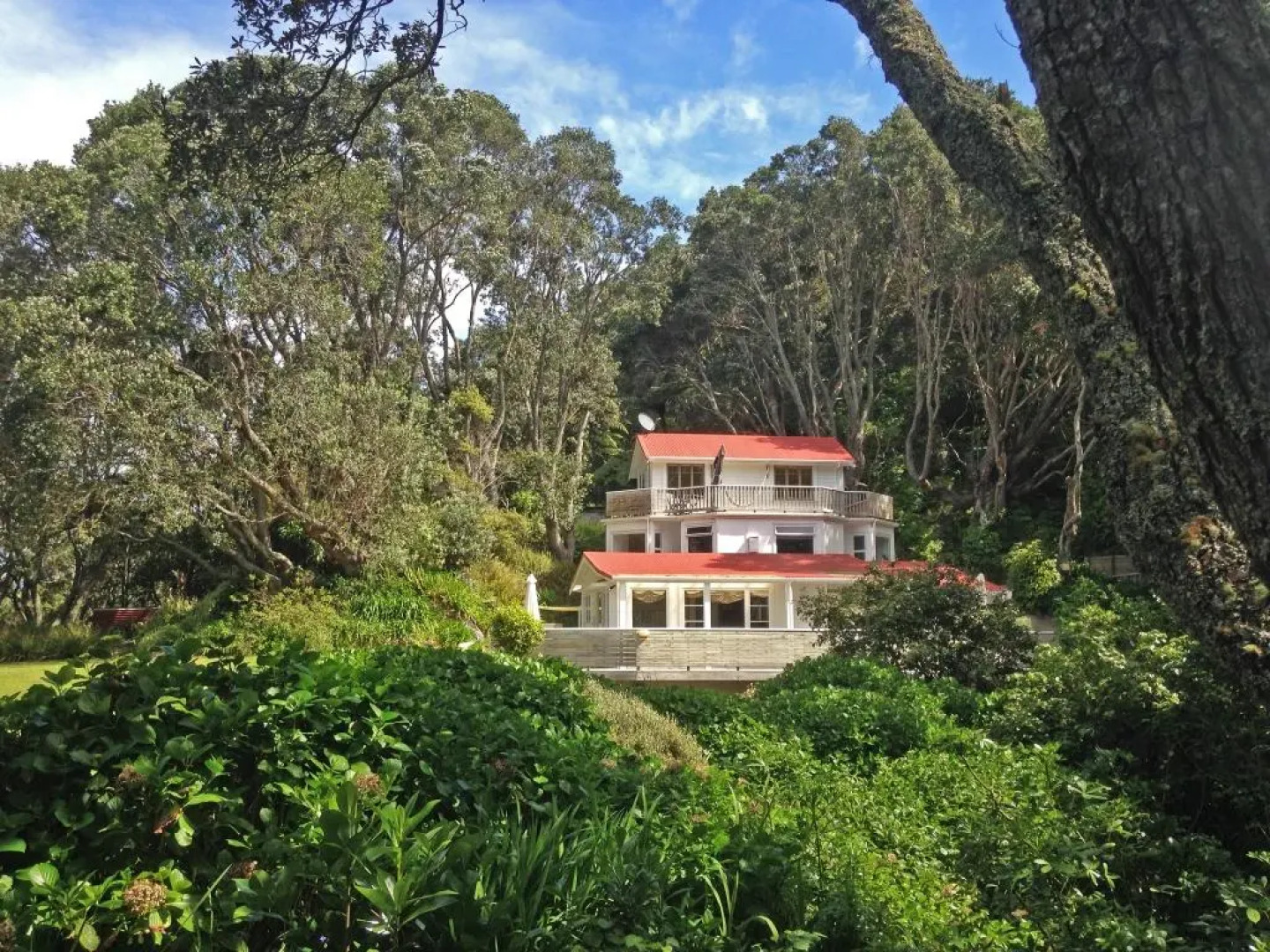 Ohiwa Seascape Studios