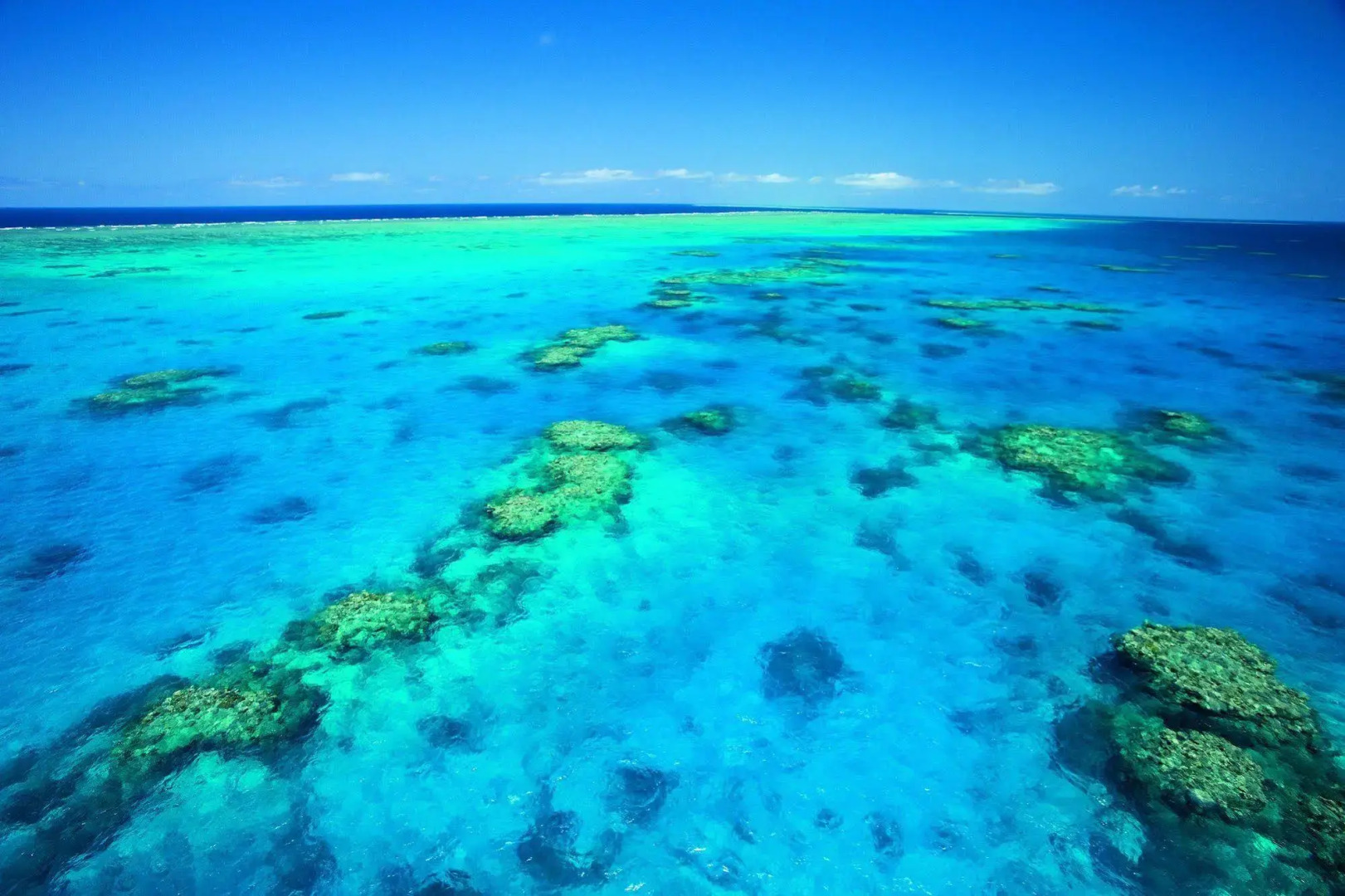 NRMA Cairns Holiday Park