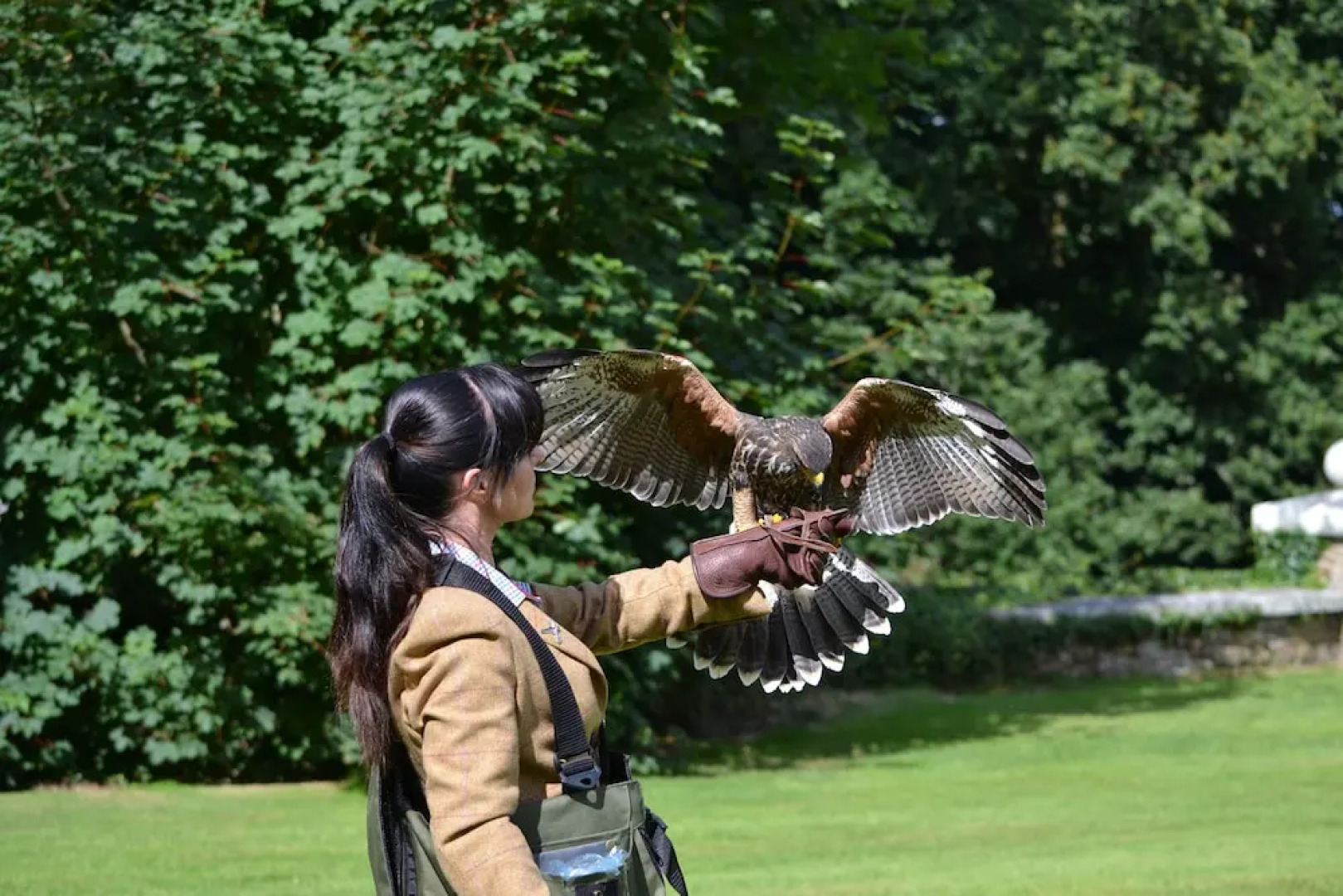 Waterford Castle Lodges