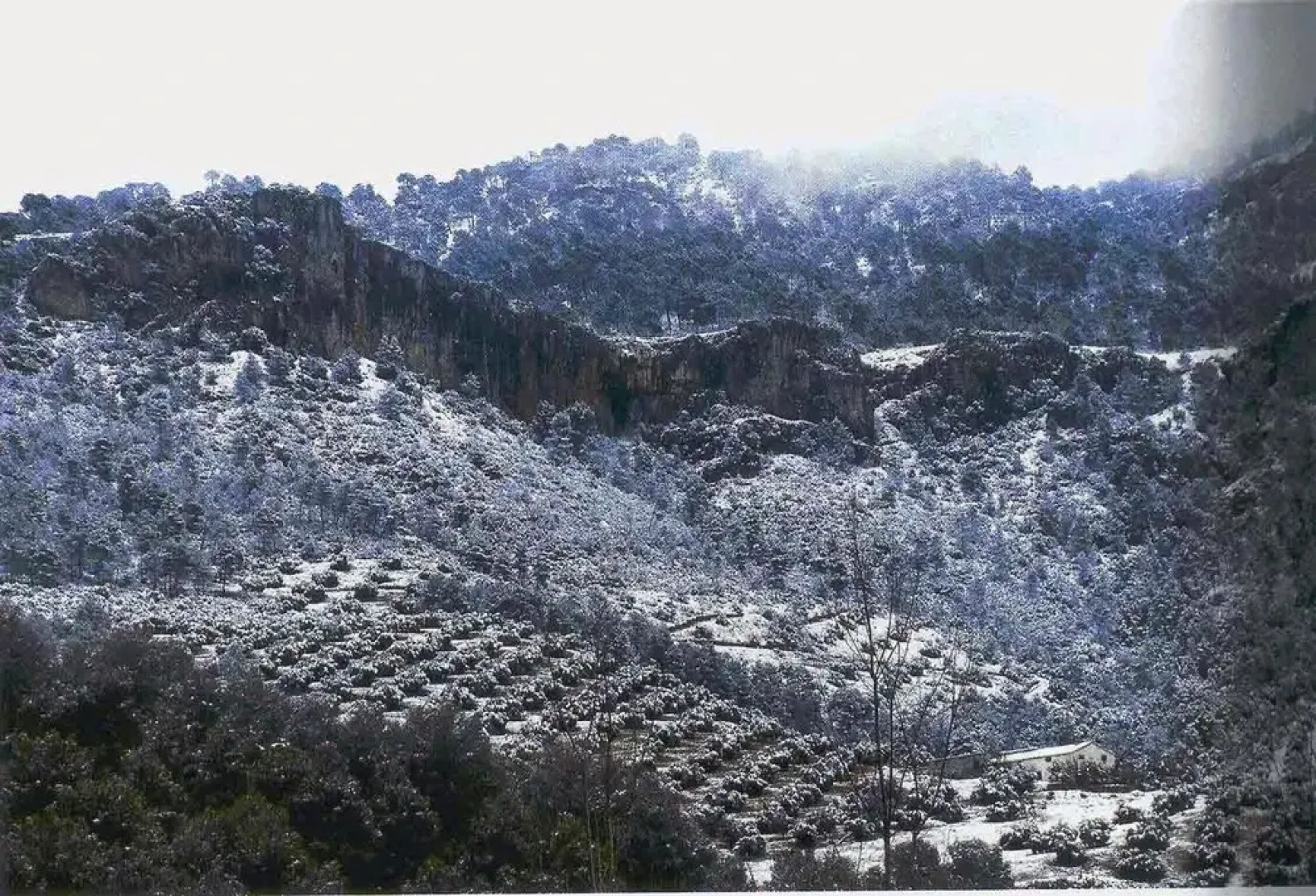 House With 3 Bedrooms in Beas de Segura