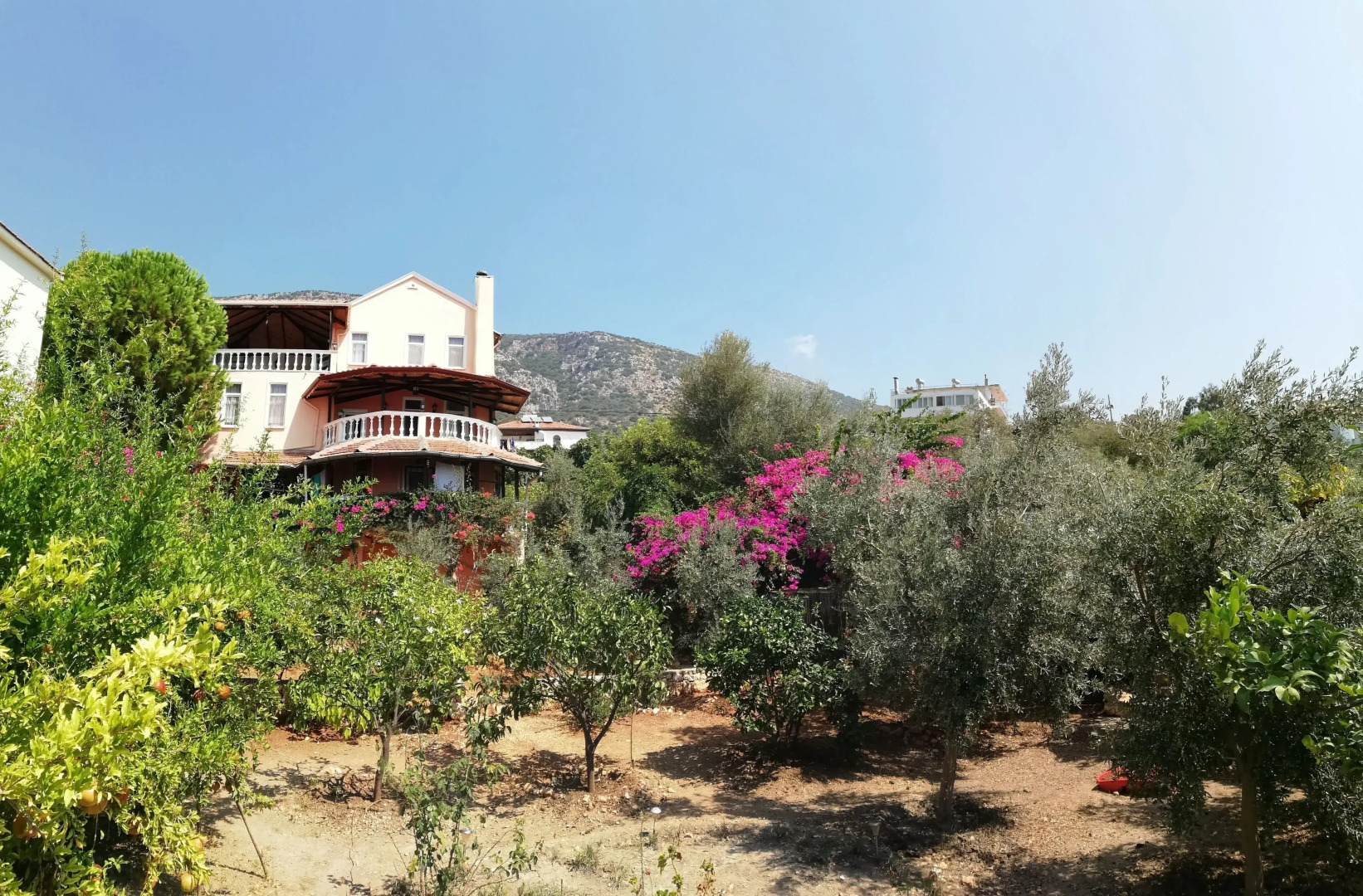 Villa Koknar Pension