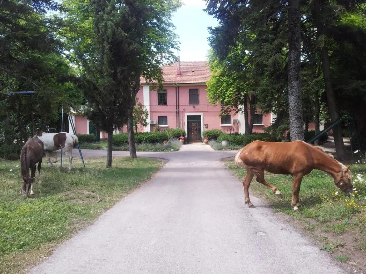 Country House Villa delle Rose