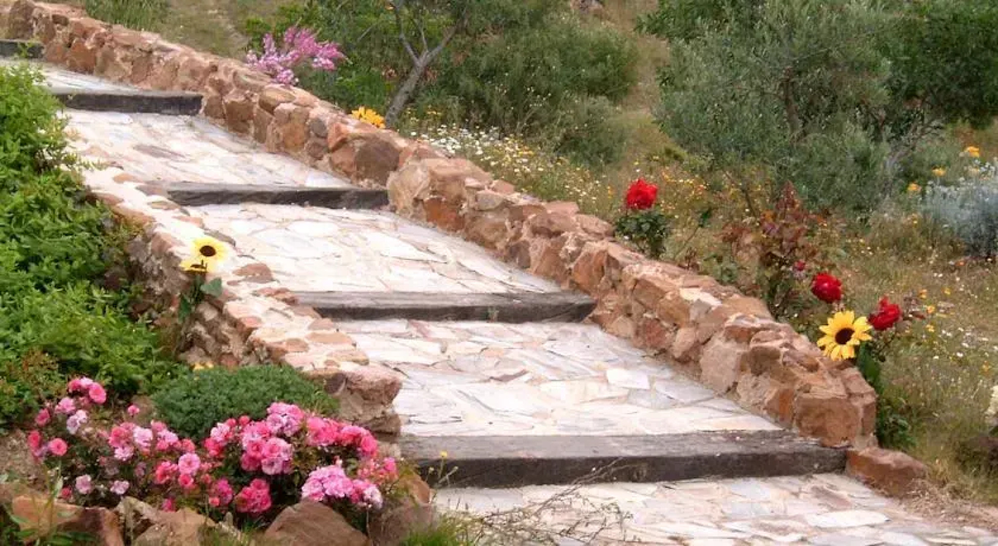 Casa Rural Mirasoles