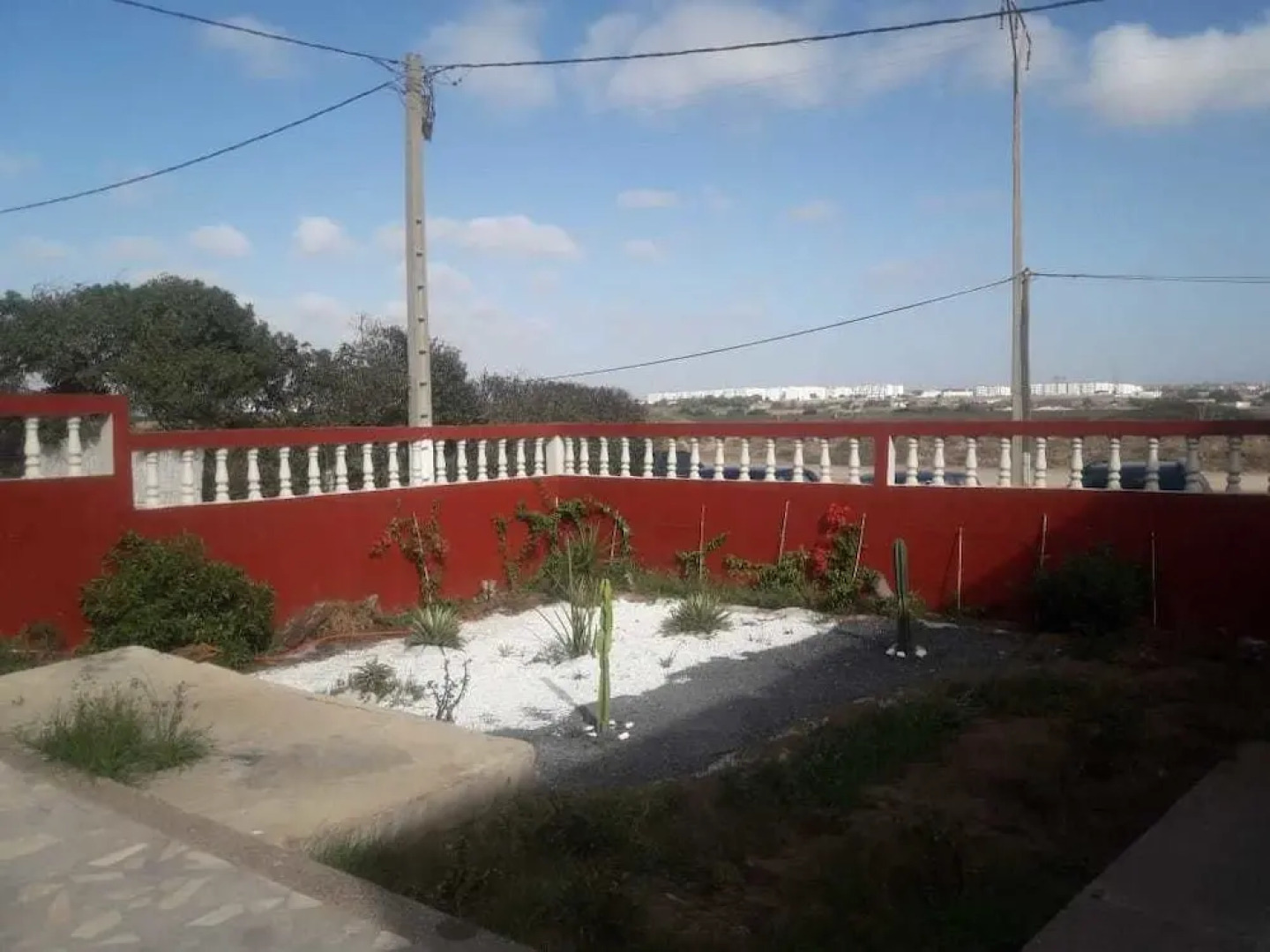 Paloma Pied Sur Sable