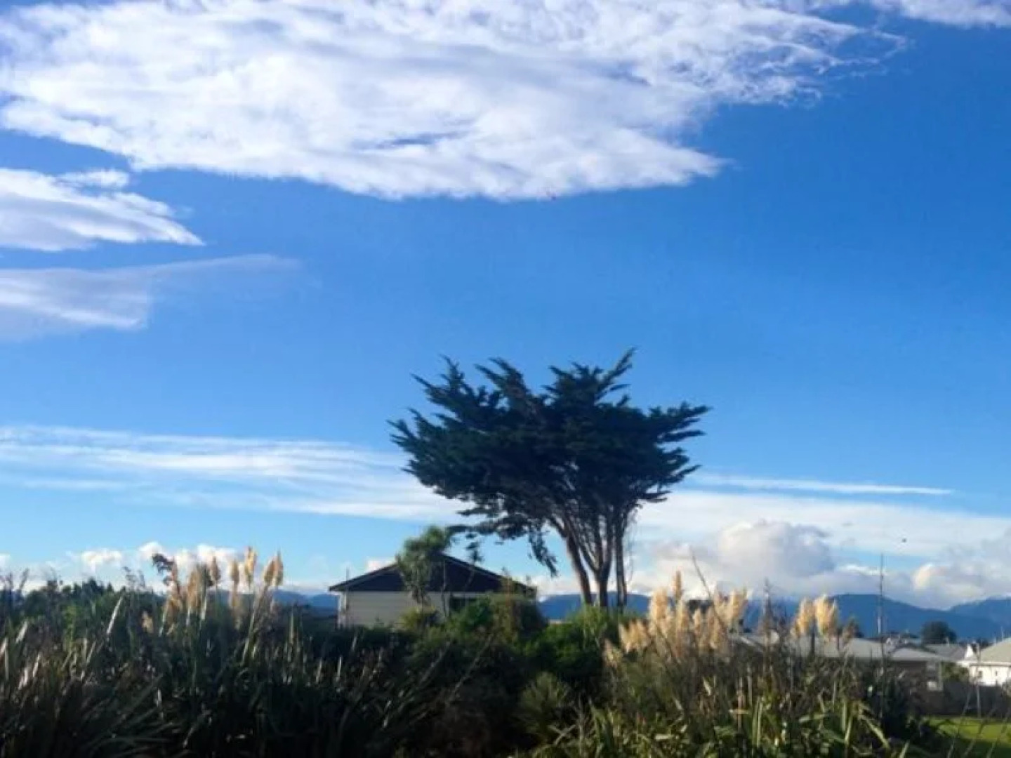 Drifting Sands Beachfront B&B