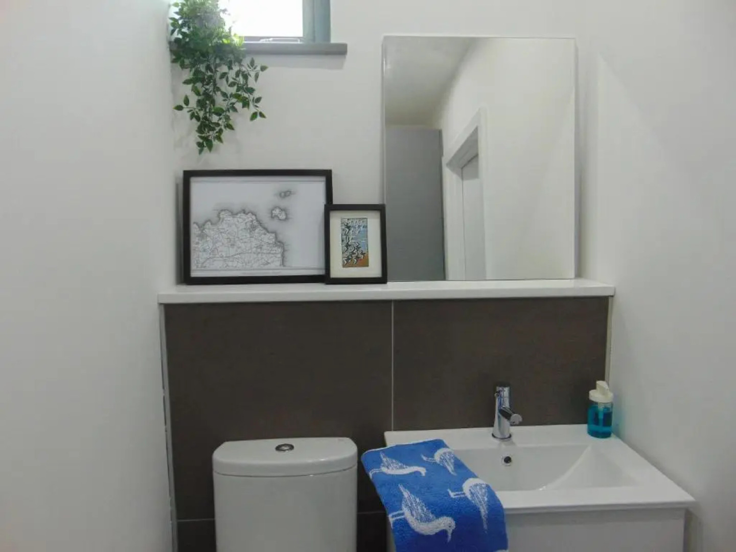 Driftwood, Donaghadee