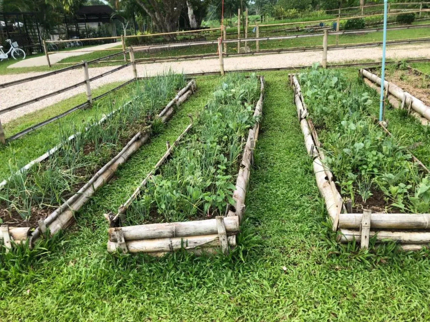 Ing Chan Farm /ไร่อิงจันทร์