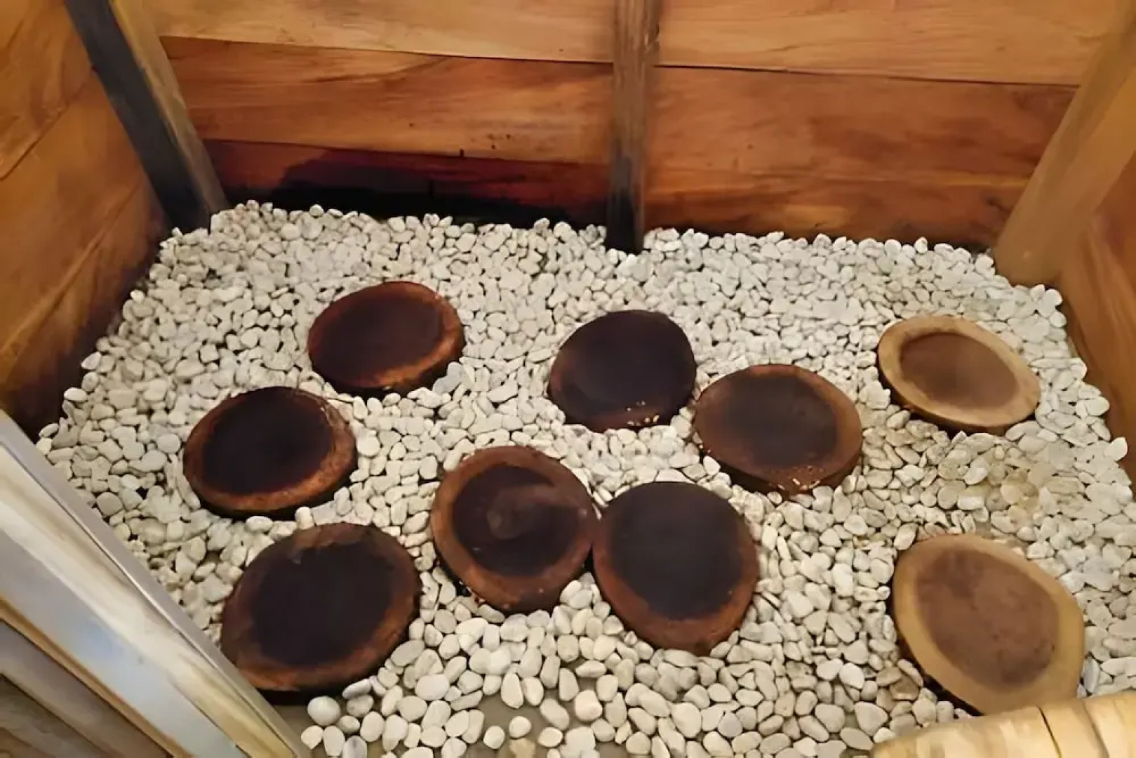 Cabañas Casa de Agua