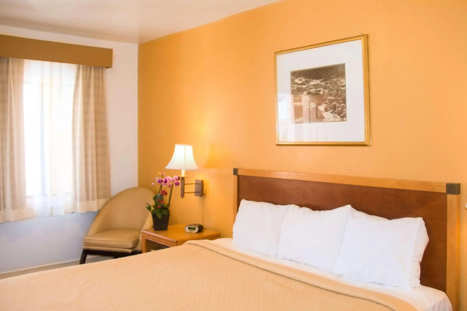 Rodeway Inn Flagstaff - Downtown