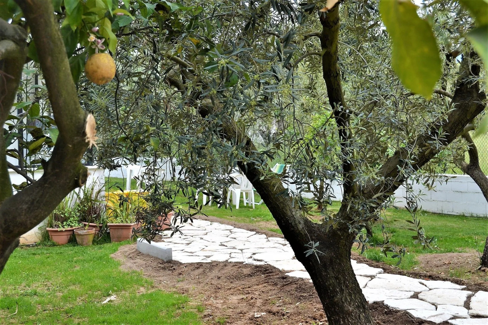 B&B Il Girasole
