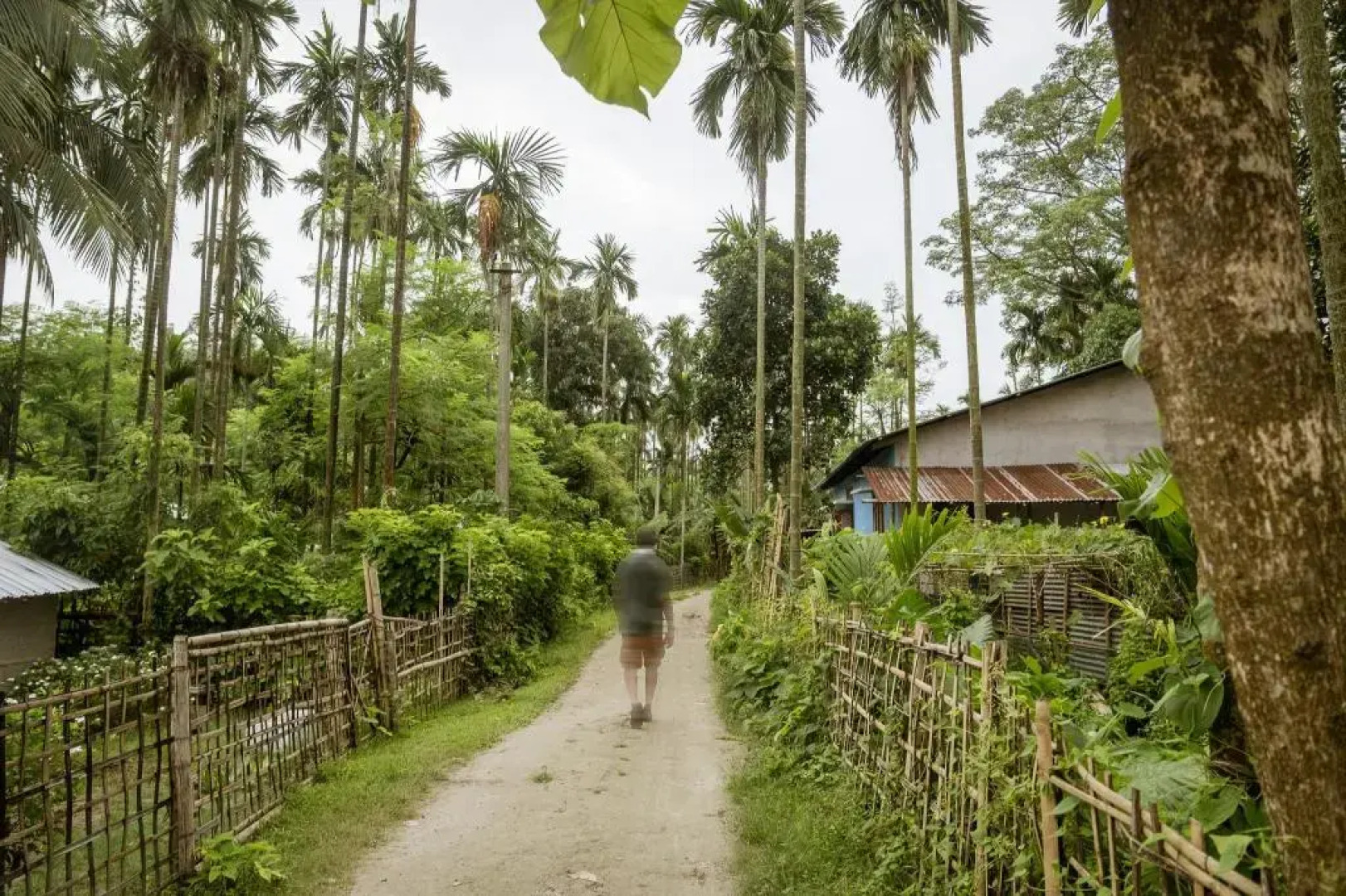 Rhino and River Wildlife Retreat & Spa, Pobitora - Guwahati