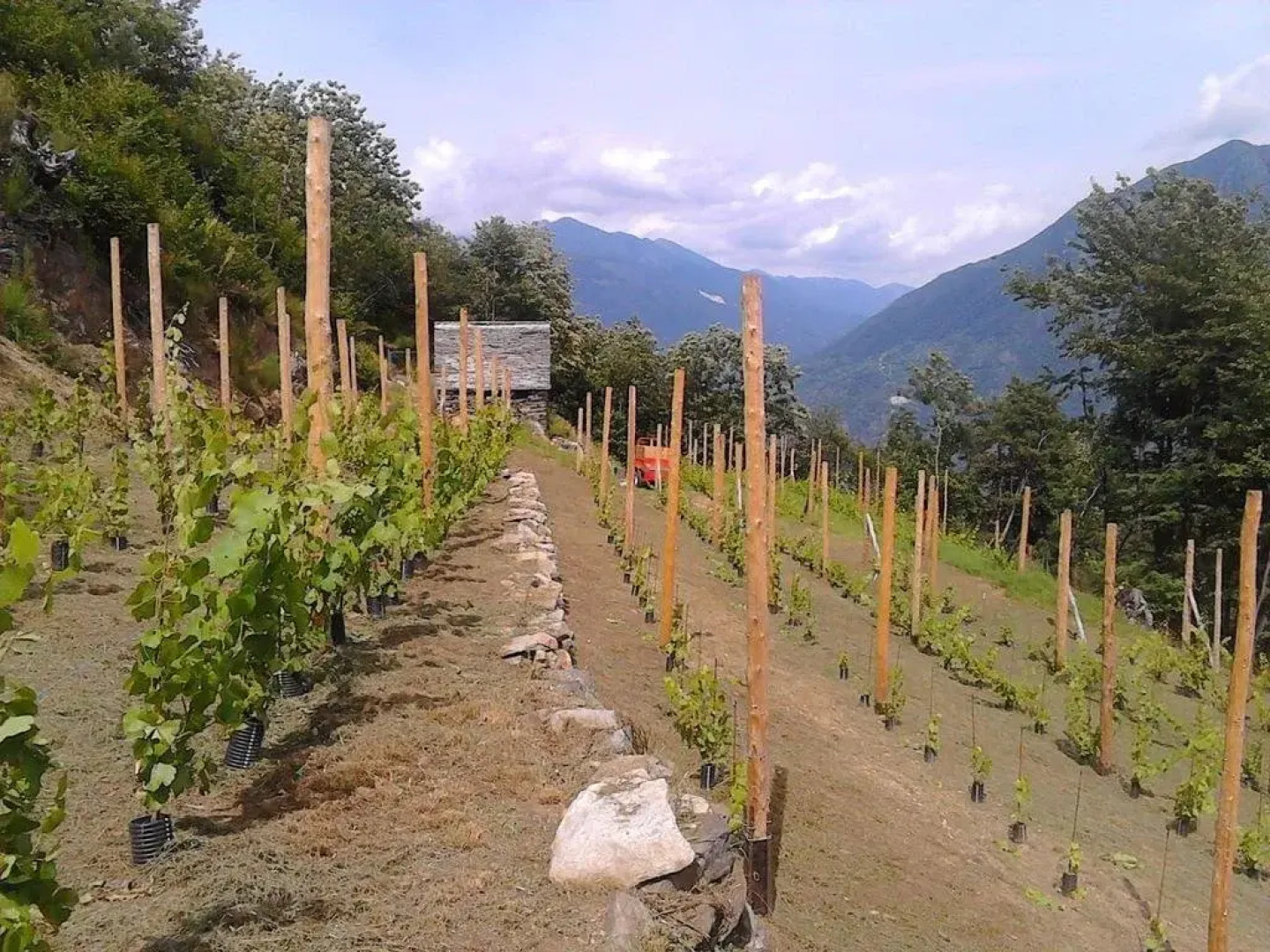 Agriturismo La Tensa