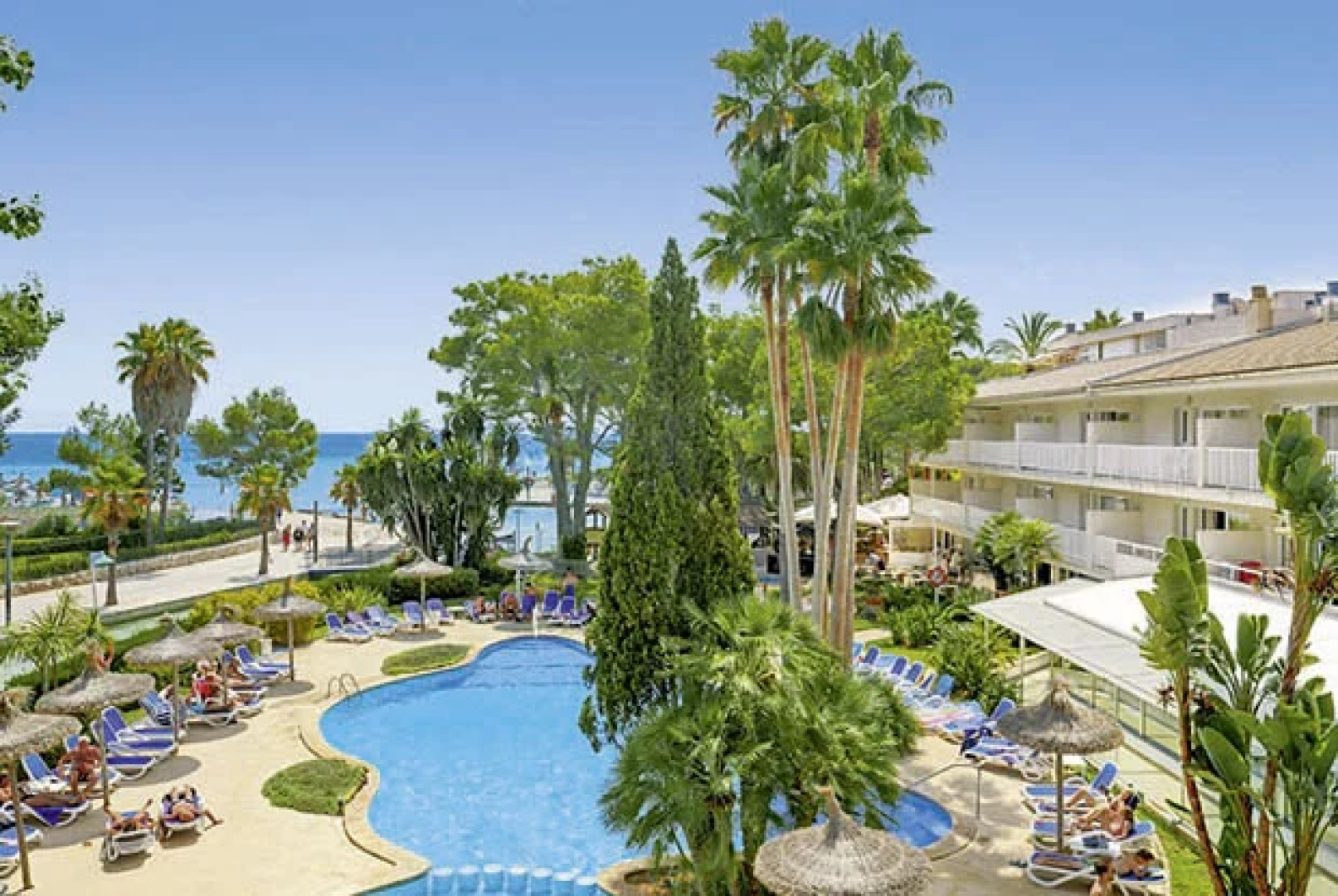 Orquidea Playa Aparthotel & Spa