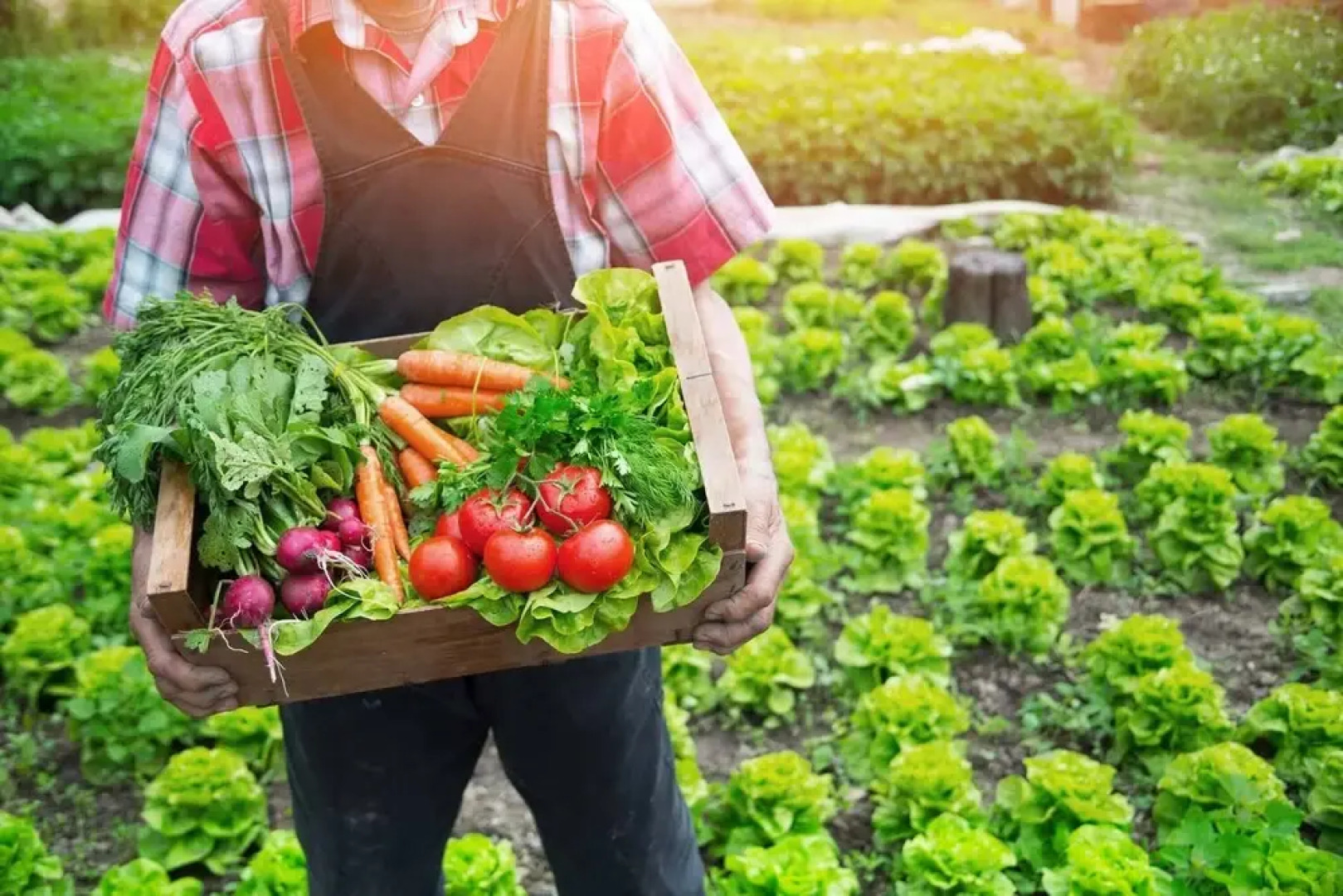 Nice Apartment In Biofarm With Pool