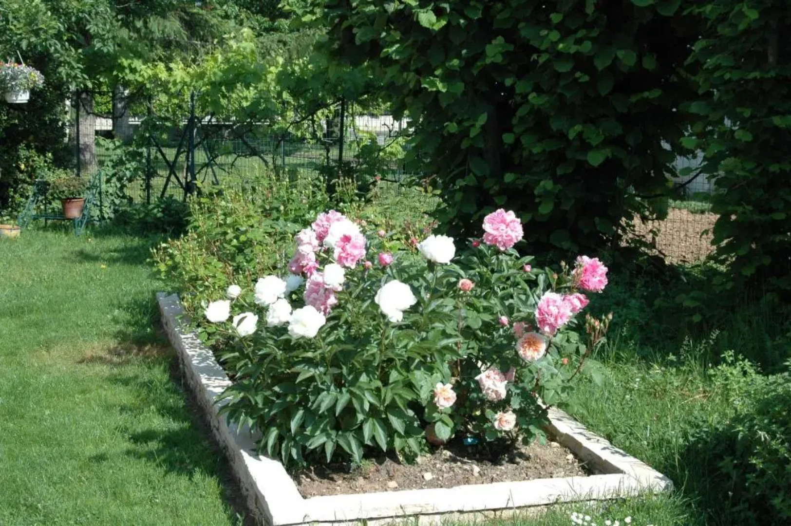 Le Jardin de Roses
